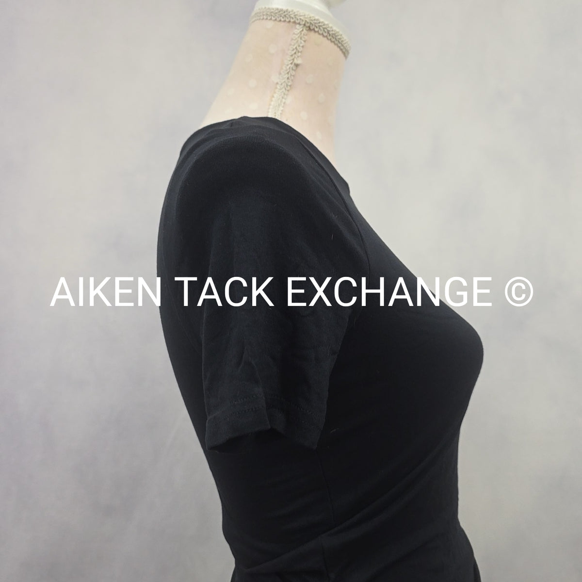 Venus Dress, Size X-Small
