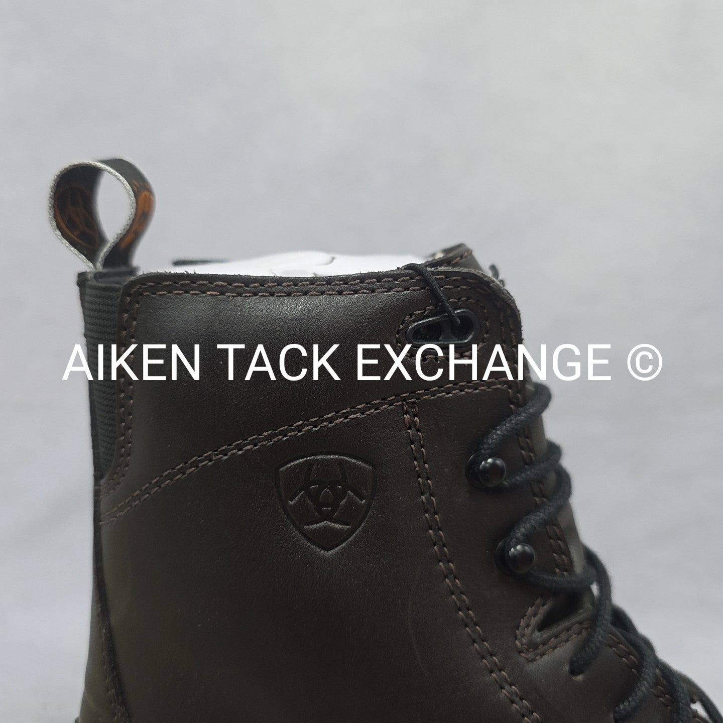 Ariat Heritage III Laced Paddock Boots, Brown, Brand New, Women's 6.5 B