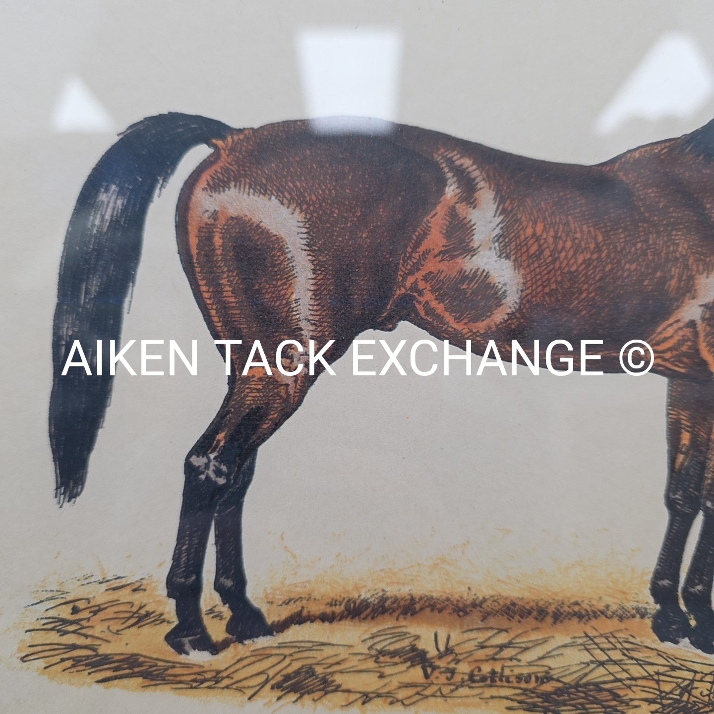 PL. 10 Nougat by L. Penicut, Embroidered, Matted, Framed, 31" x 27"