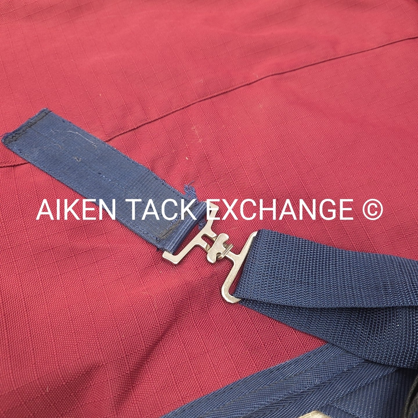 Saxon Medium Weight Turnout Blanket, 81"