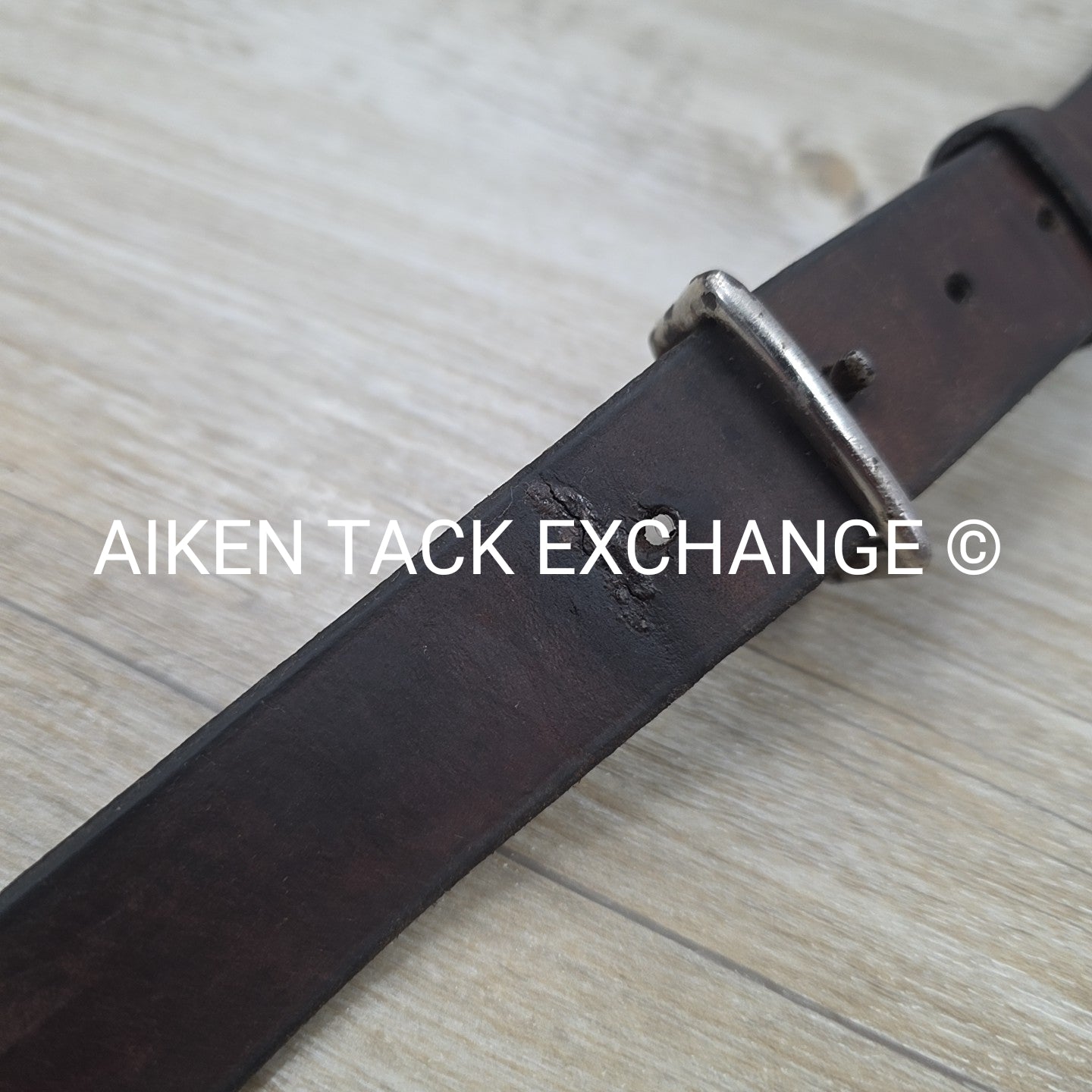 Horse Country First Flight Standing Martingale, Brown, Oversize