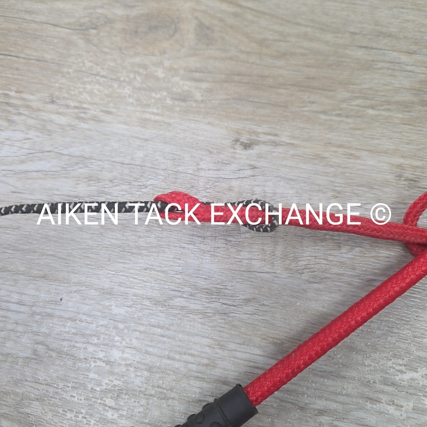 Lunge Whip