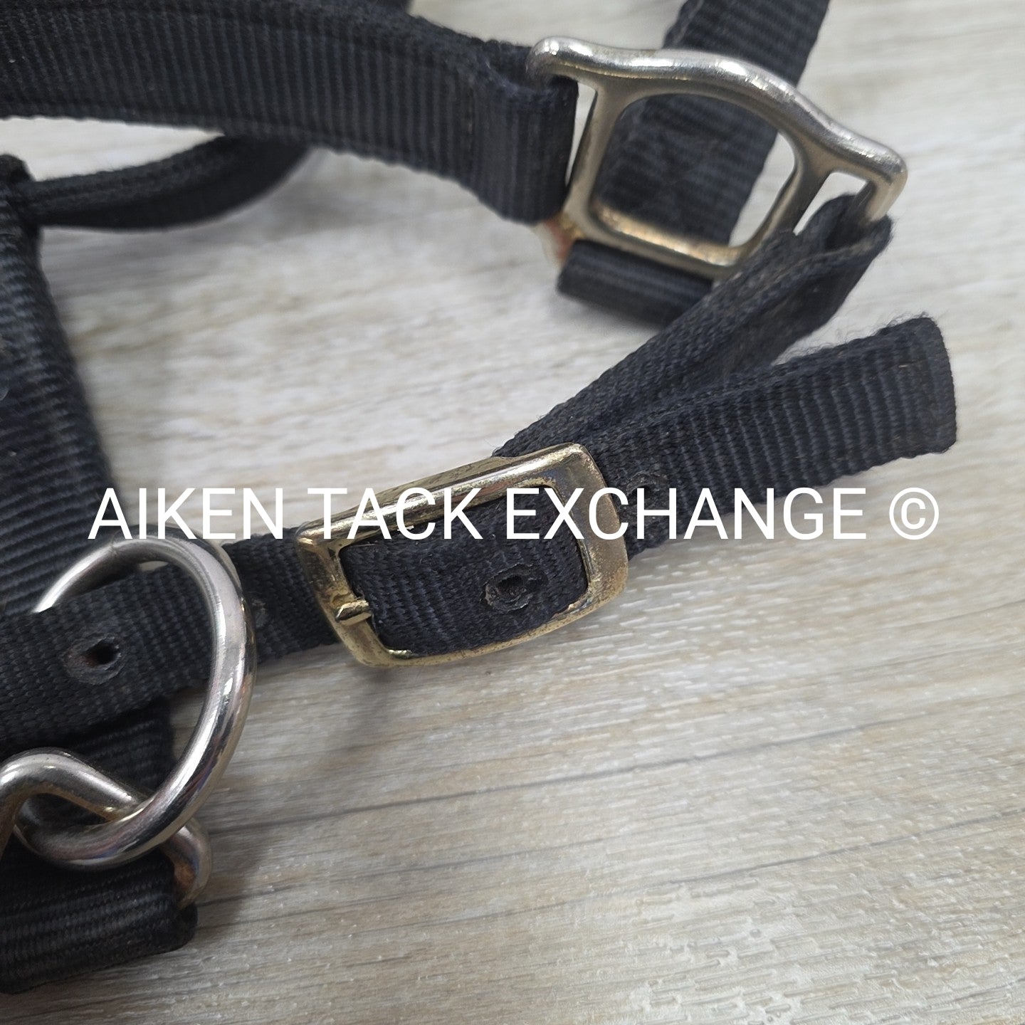 Perri's Nylon Breakaway Halter, Oversize