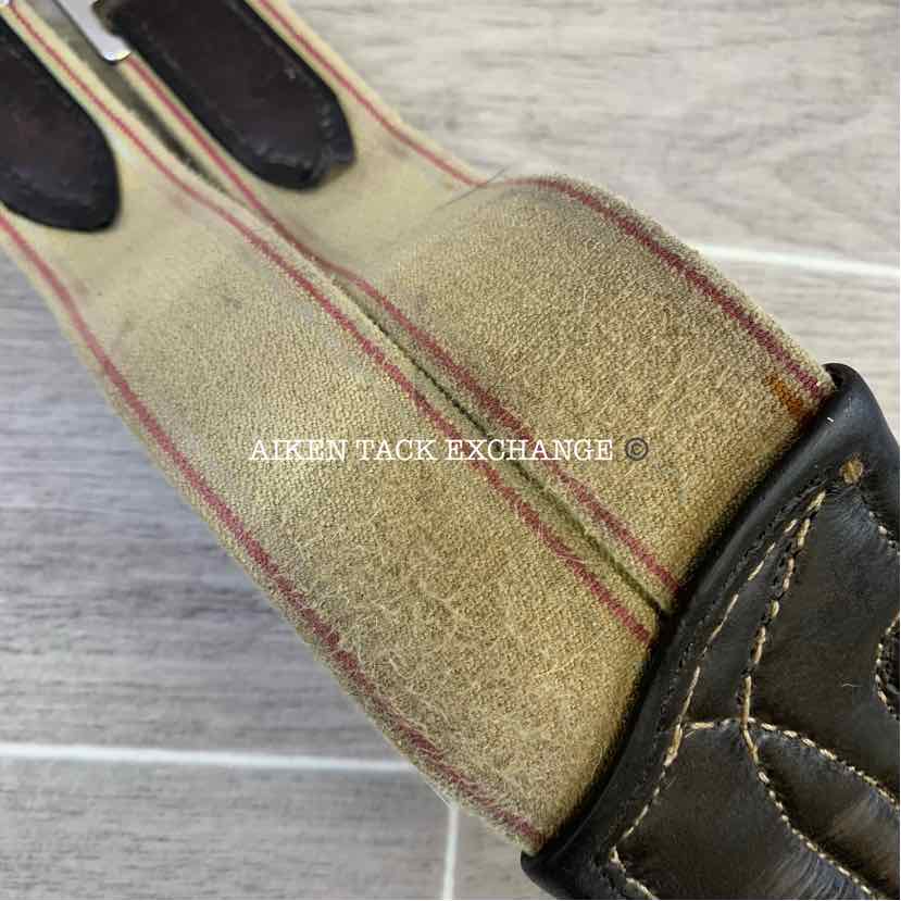 CWD Belly Guard Stud Girth with Double End Elastic, Brown, 50"