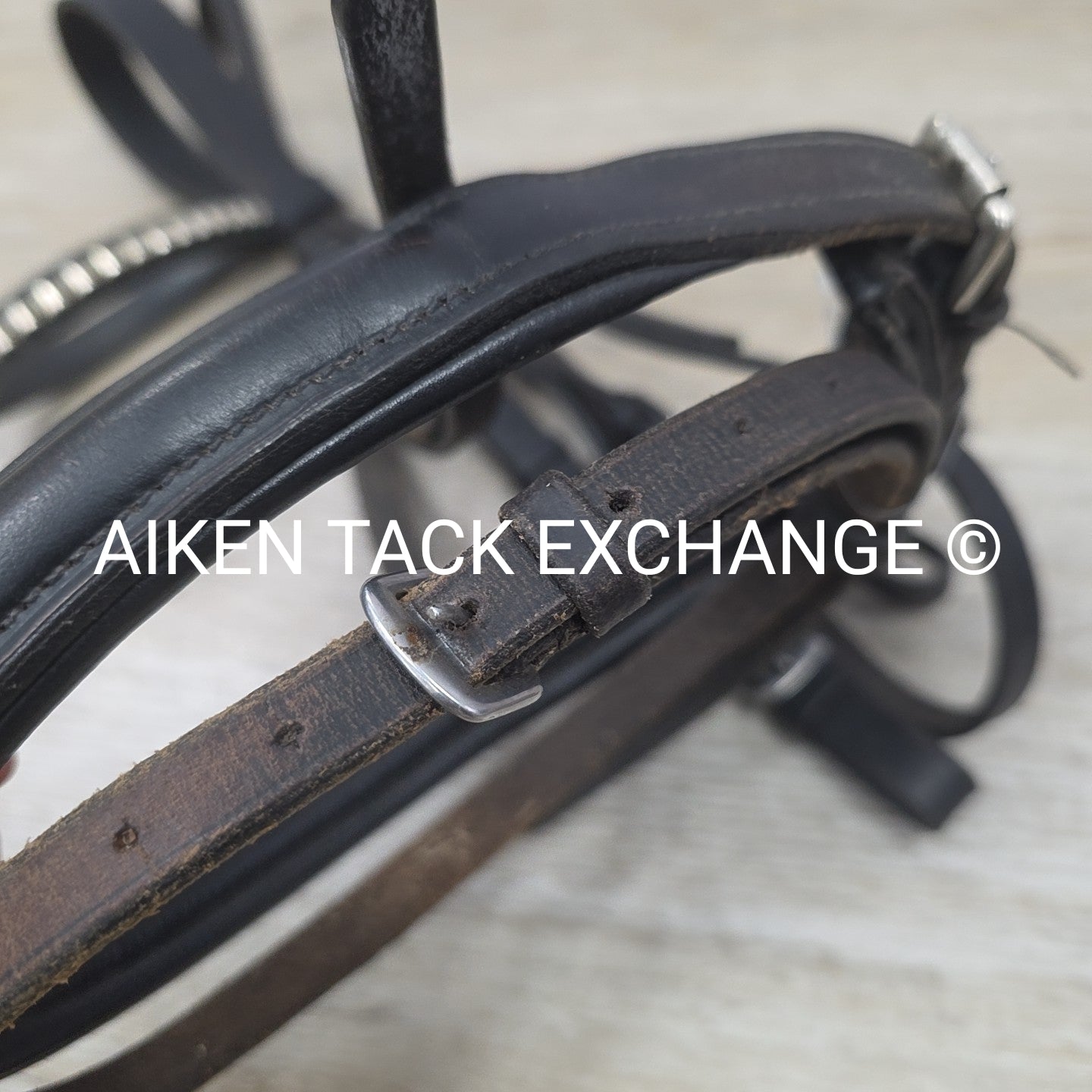 BARGAIN BUNDLE: Flash Bridle with Running Martingale, Black, Size Full