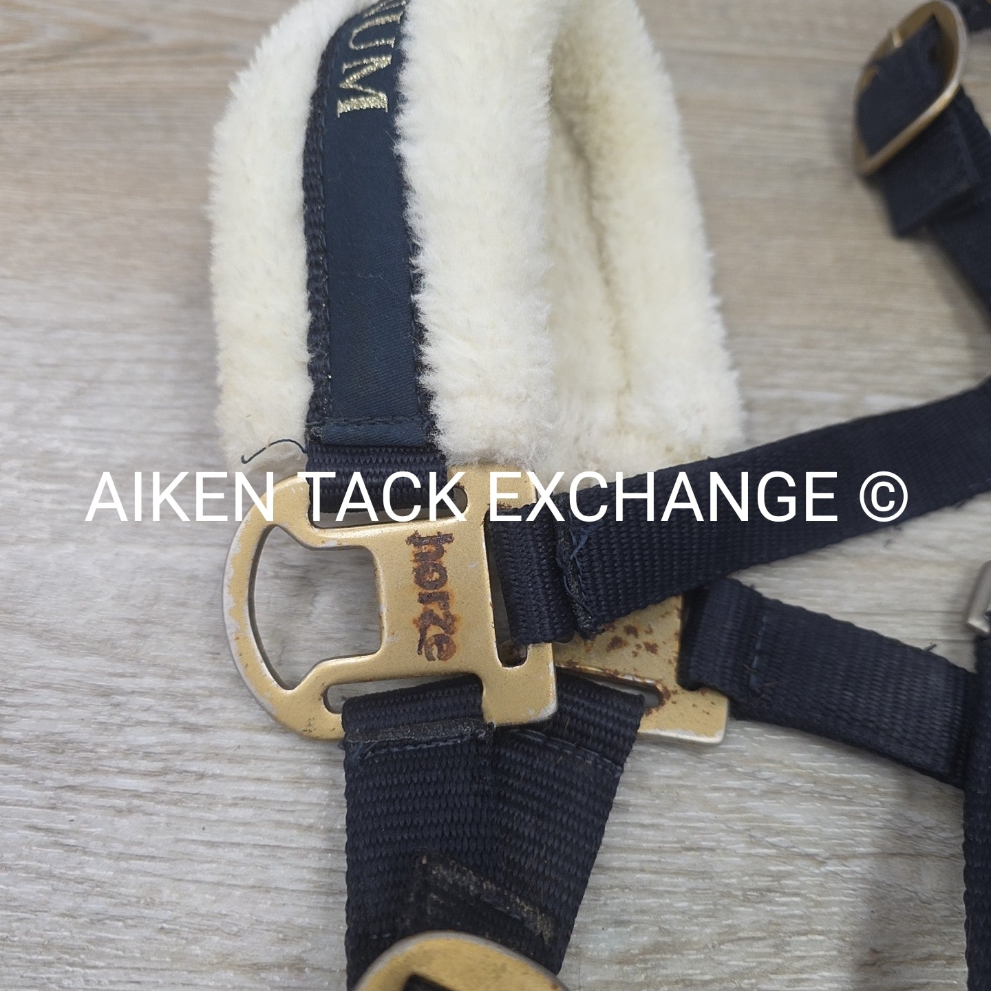 Horze Howard Halter & Lead Rope, Size Pony