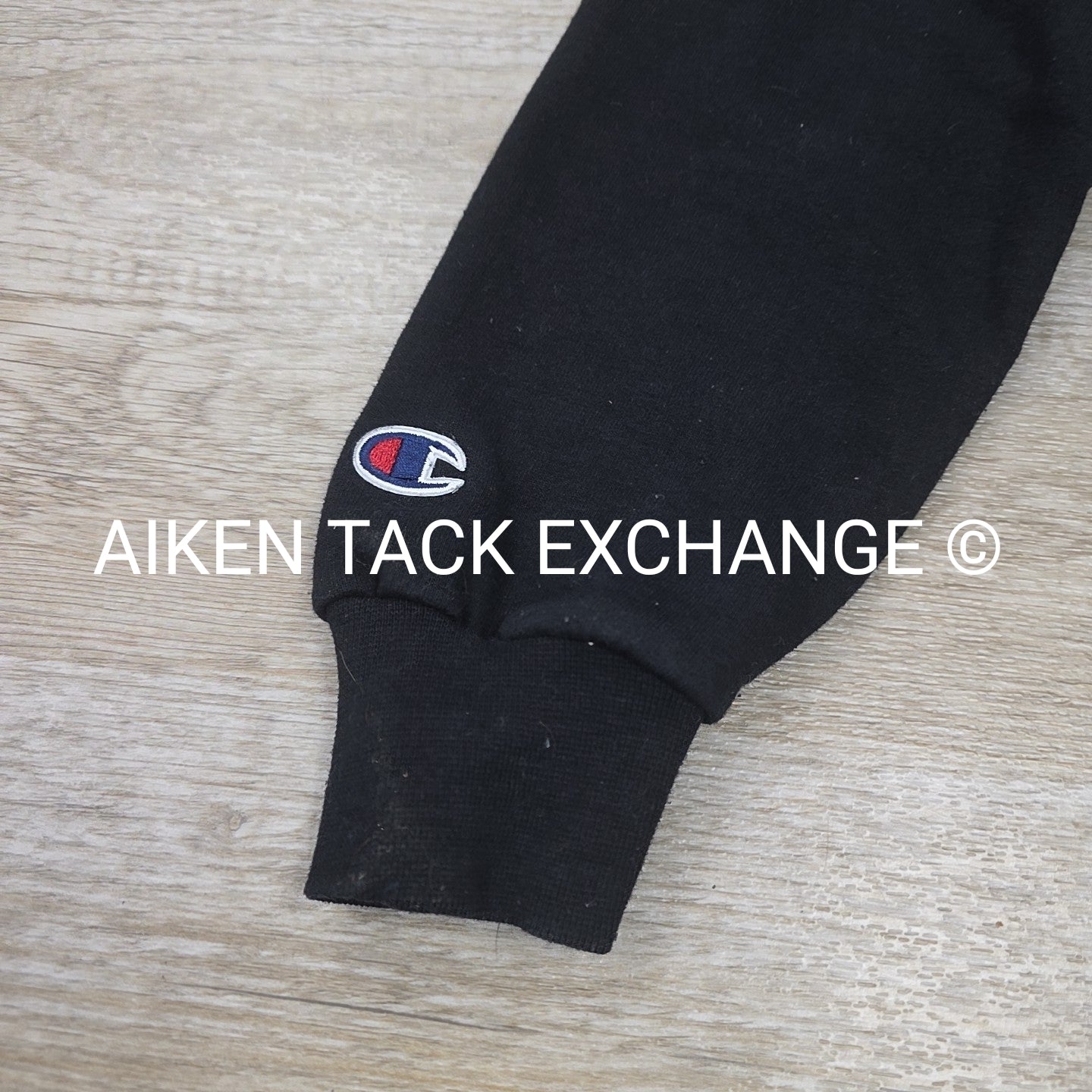 Champion horseflight.com Hoddie, Size Medium