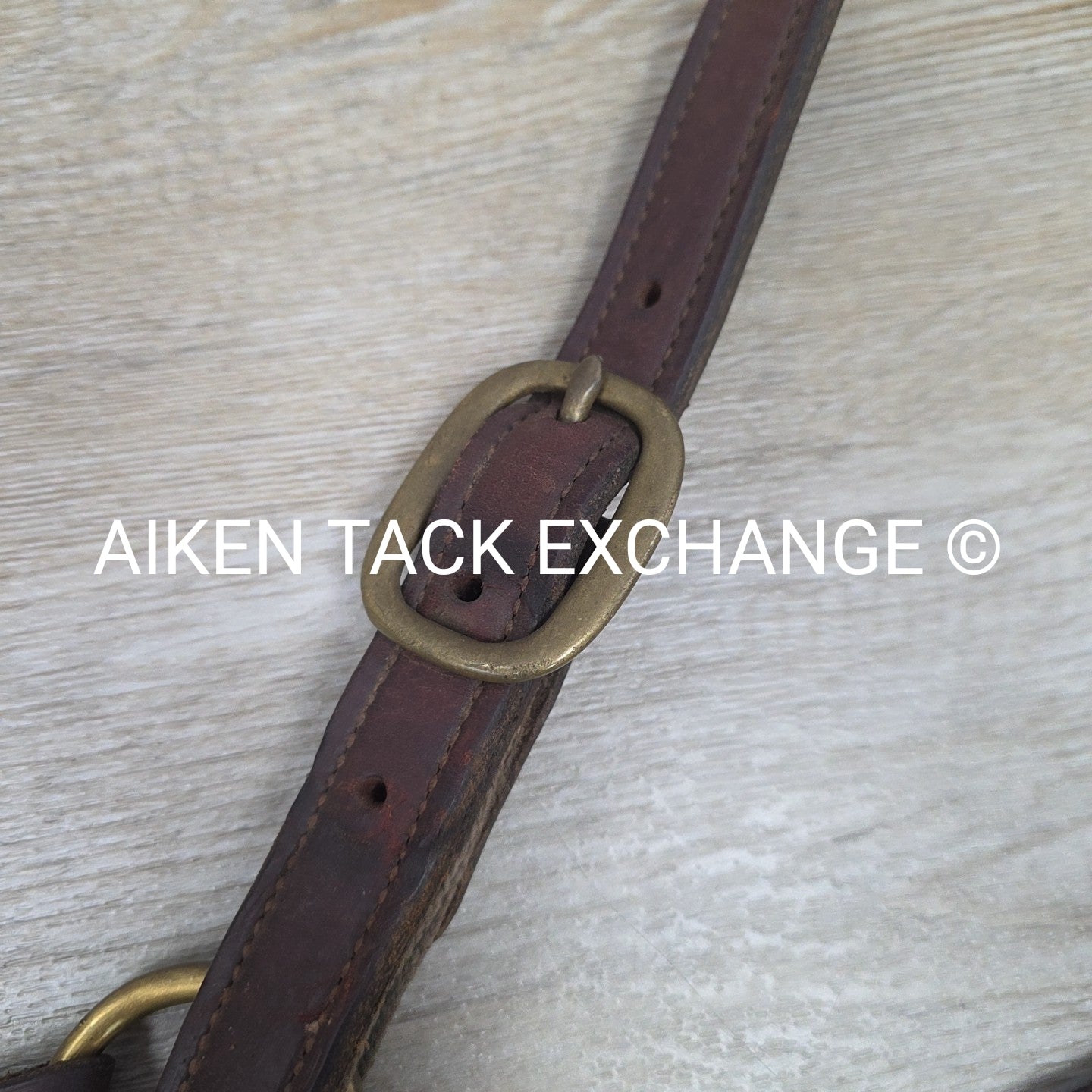 BARGAIN BUNDLE: Perri's Breakaway Halter, & Web Halter, Size Full