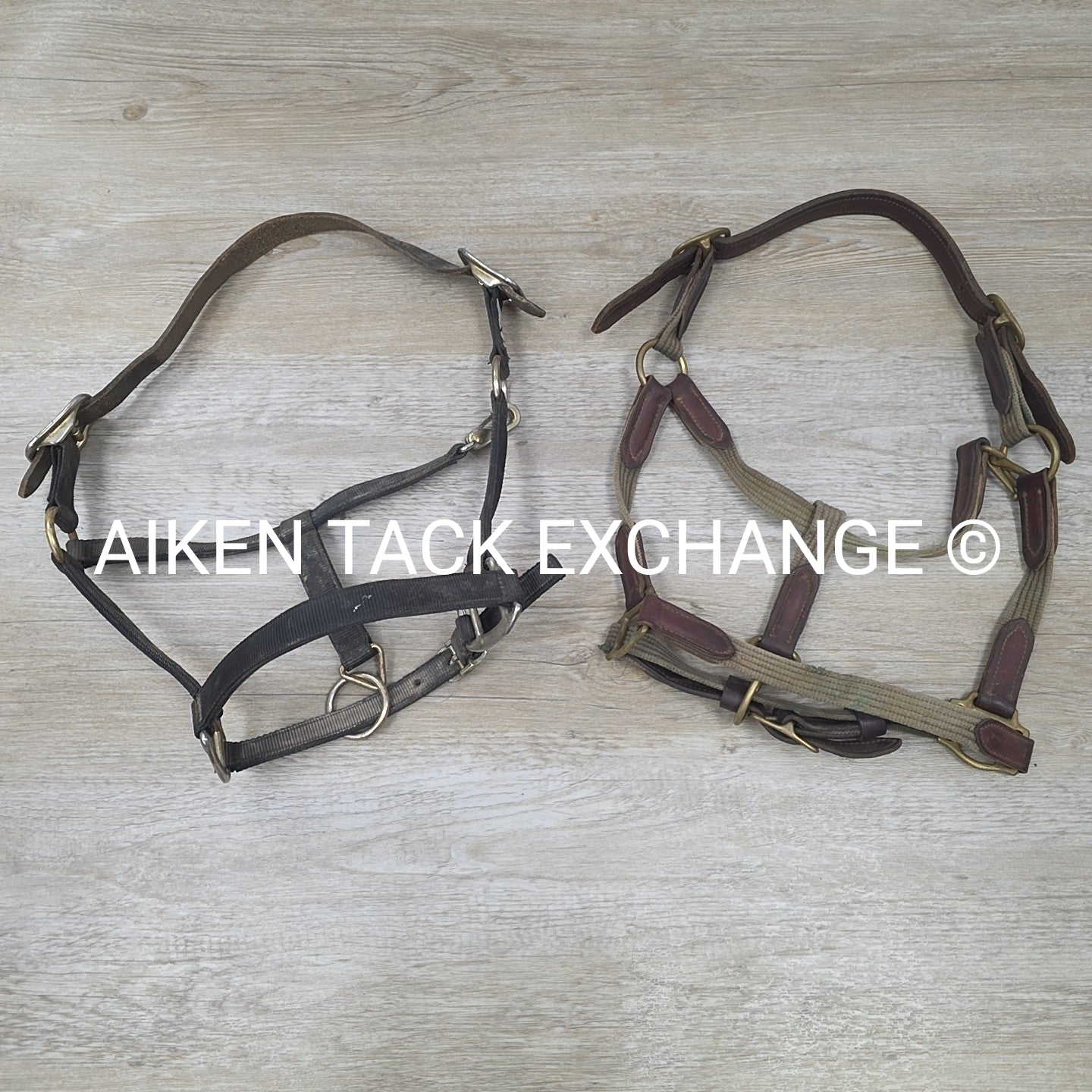 BARGAIN BUNDLE: Perri's Breakaway Halter, & Web Halter, Size Full