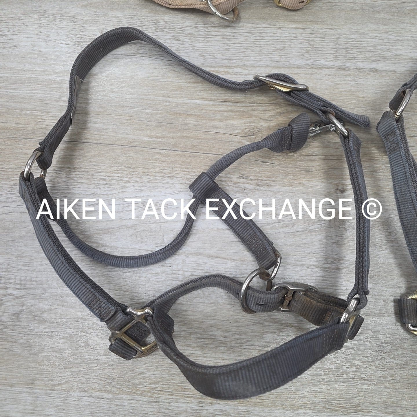 BARGAIN BUNDLE 4 Weaver Leather Nylon Halters, Size Large Horse