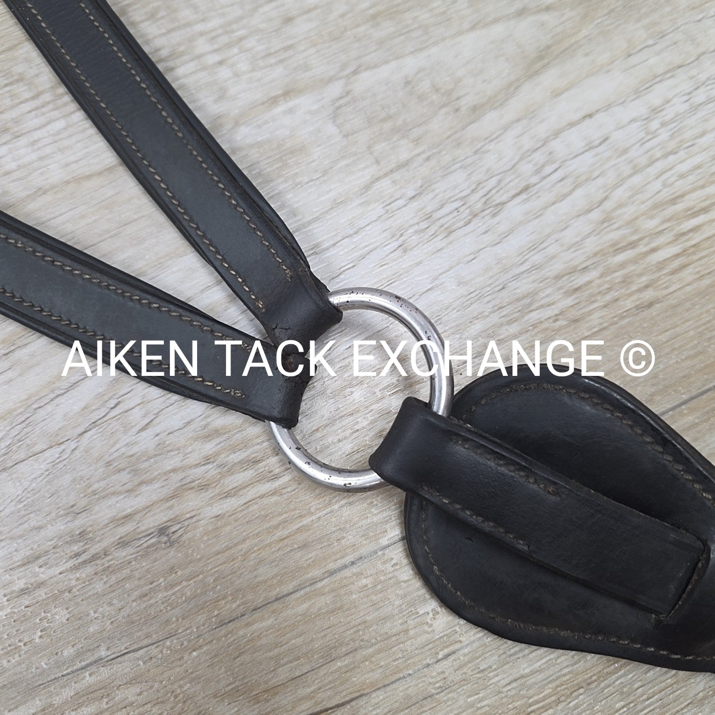 HDR 5 Point Elastic Breastplate, Black, Size Full