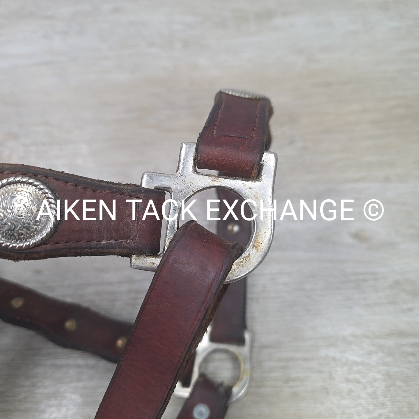 Western Show Halter, Size Full