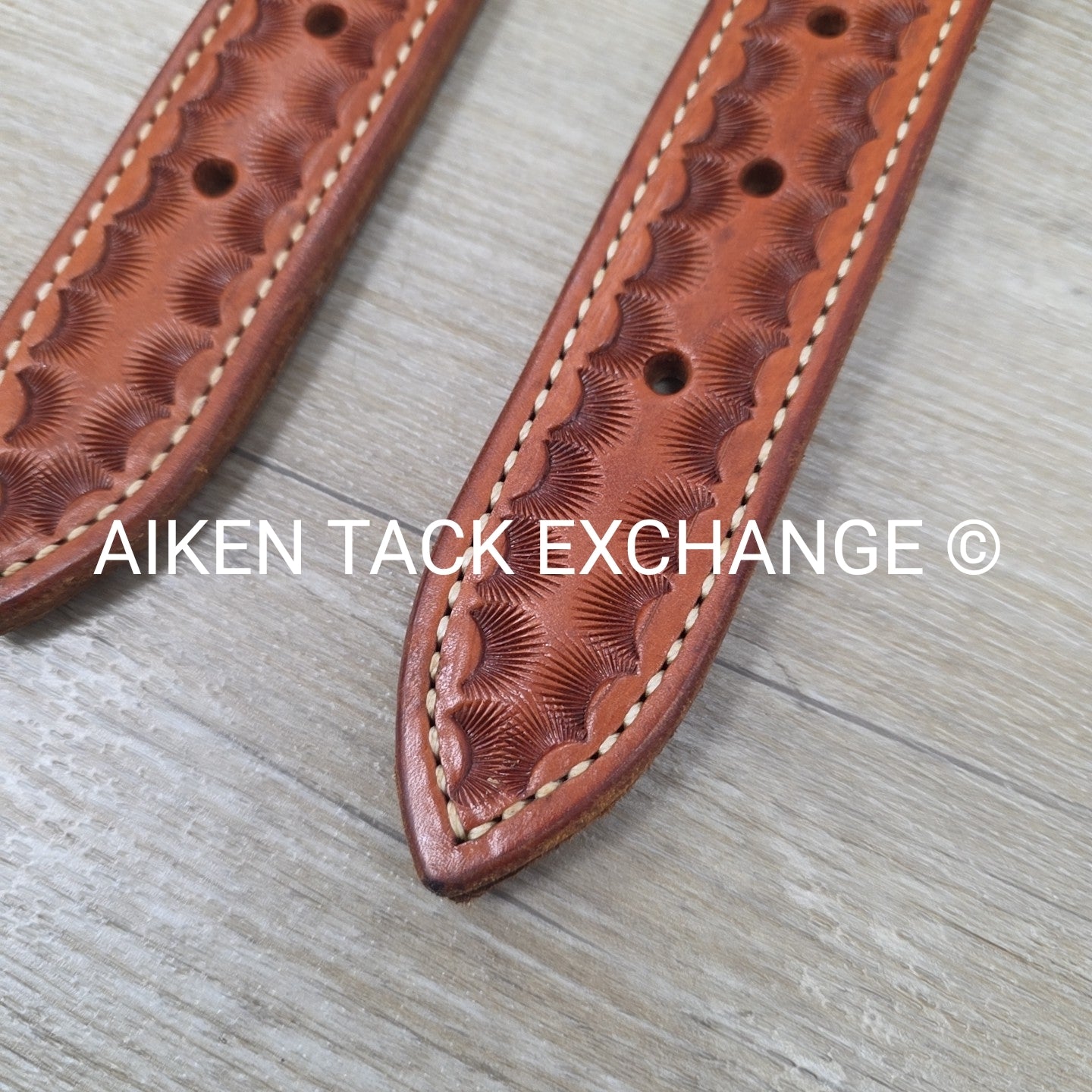 Rear Cinch Billets with Extenders