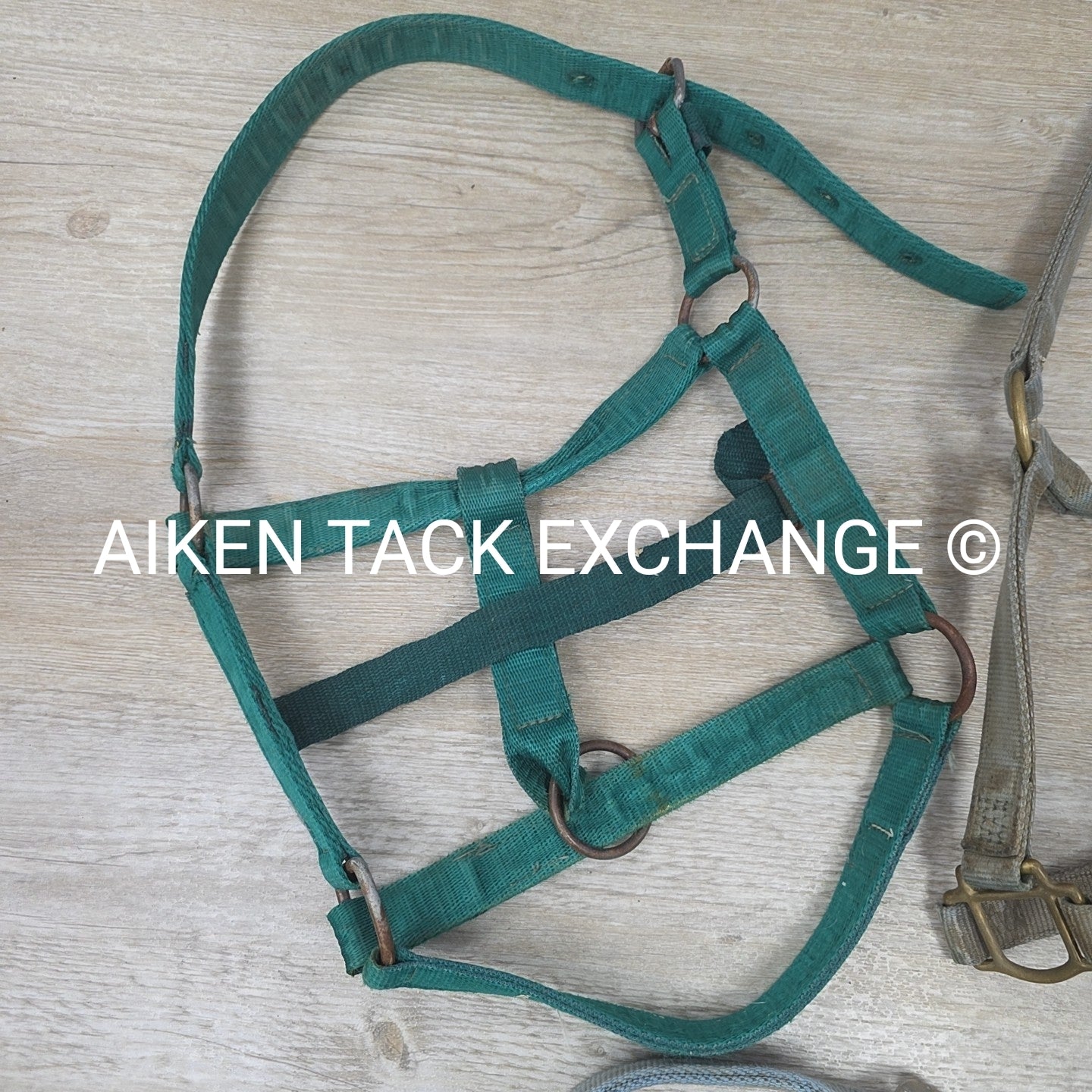 BARGAIN BUNDLE 5 Weaver Leather Nylon Halters, Size Horse