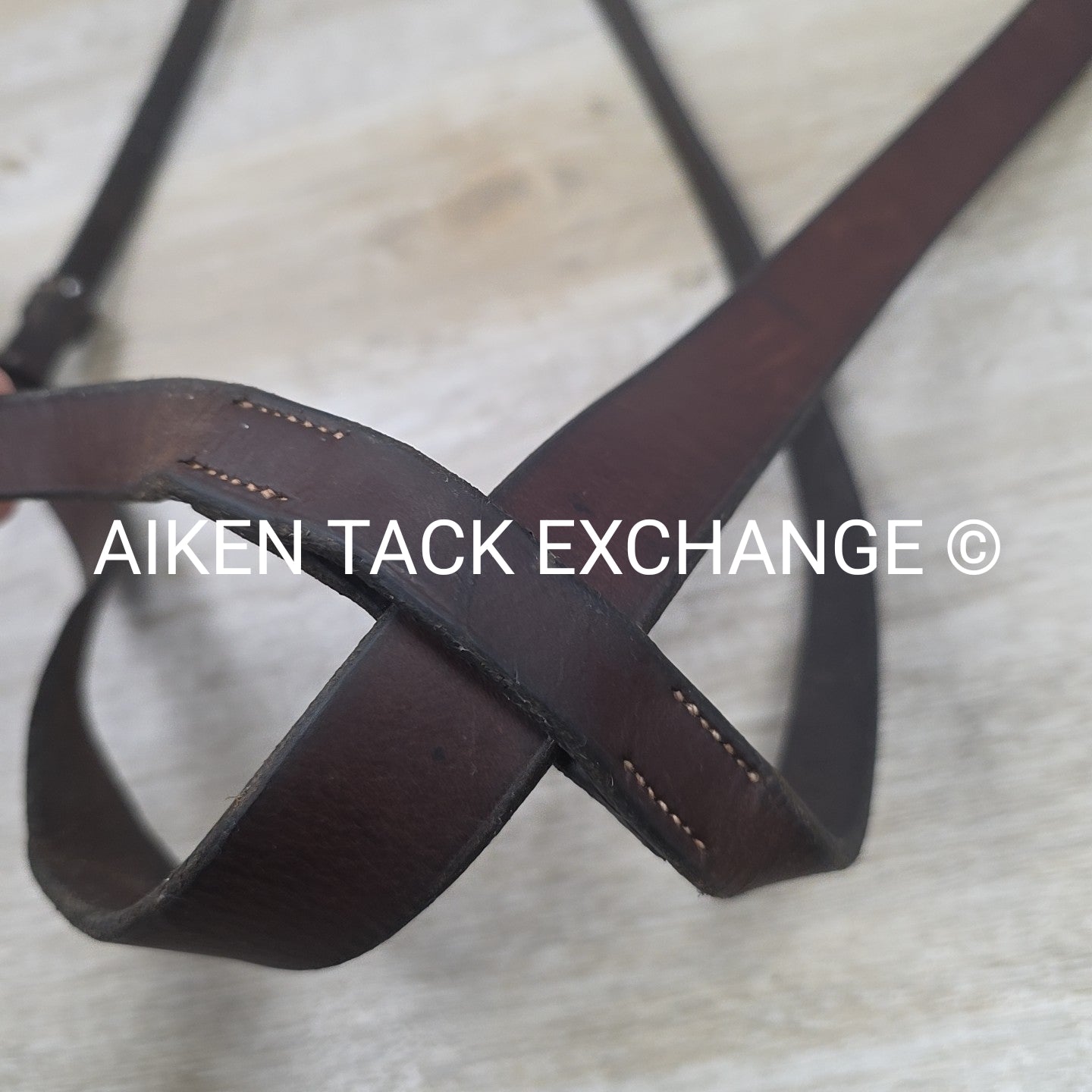 Horse Country First Flight Standing Martingale, Brown, Oversize