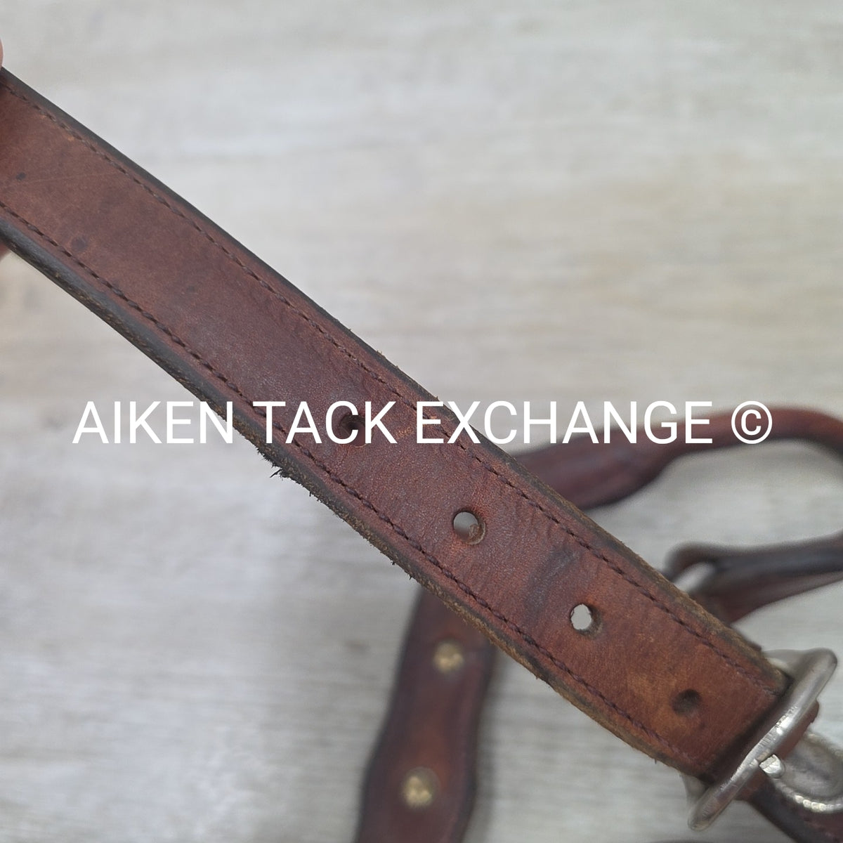 Western Show Halter, Size Full