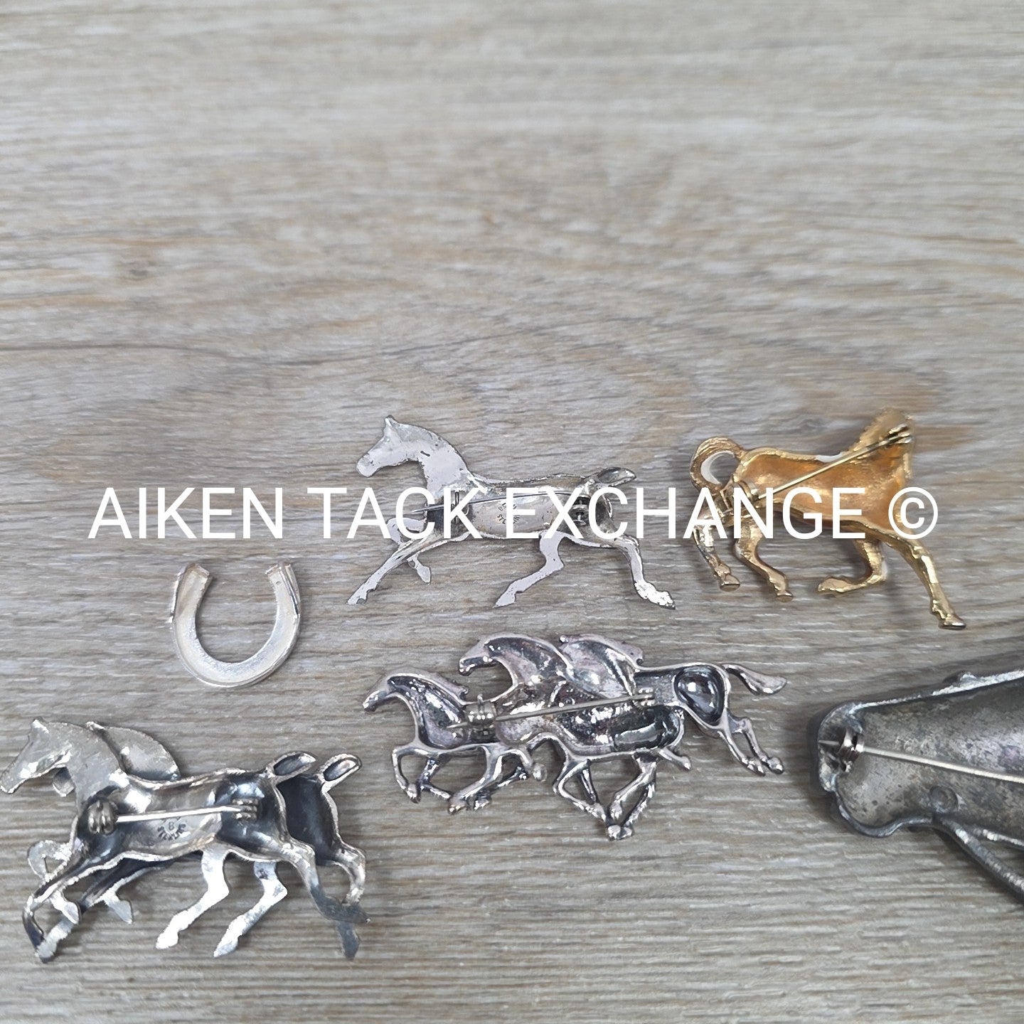 Horse Pin Bundle + 1 Horseshoe Charm