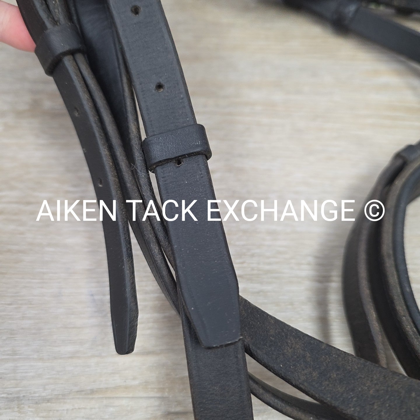 BARGAIN BUNDLE: Otto Schumacher Flash Bridle with Passier Cotton Web Reins, Blac