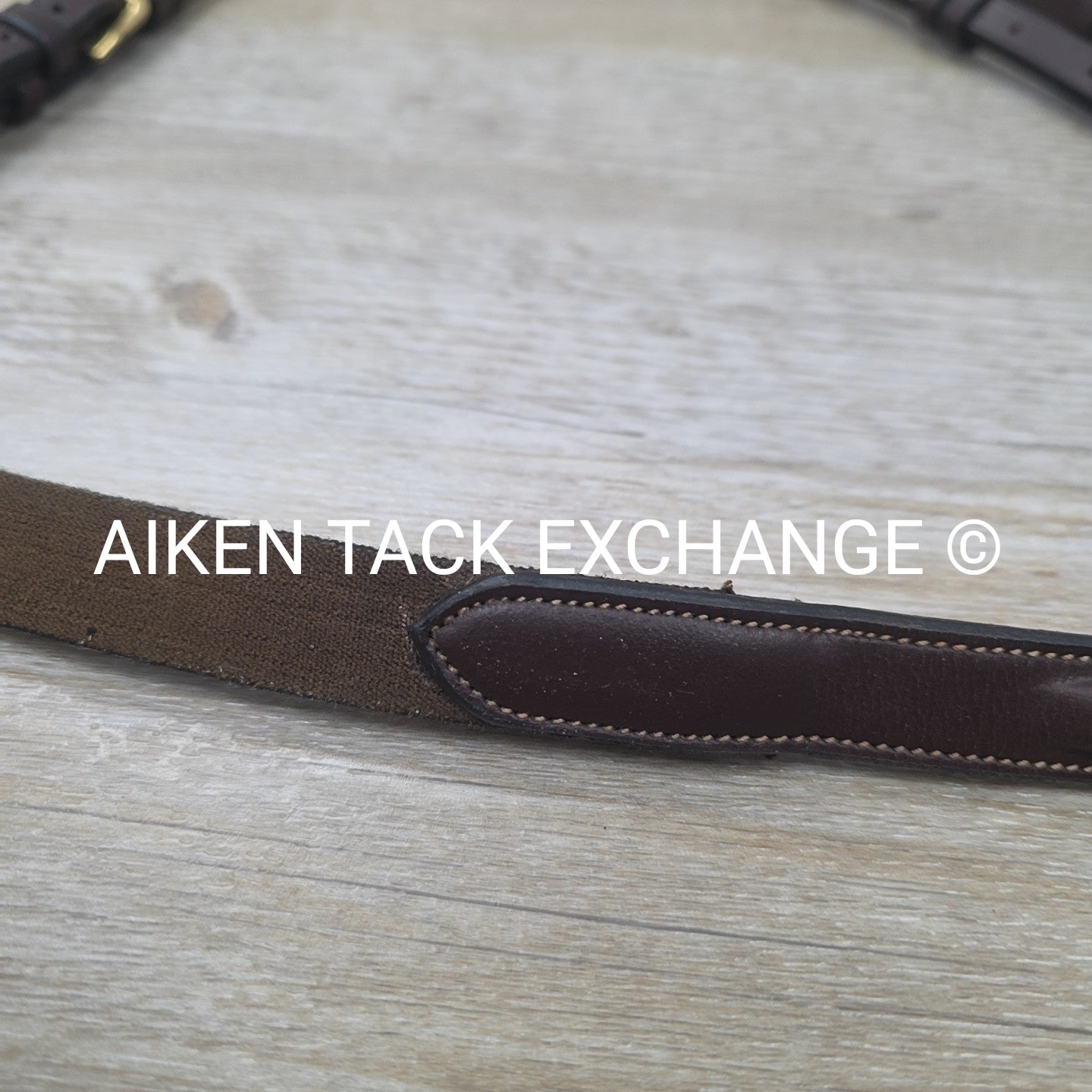 Dy'on D Collection Breastplate with Running Martingale Attachment, Brown, Size C