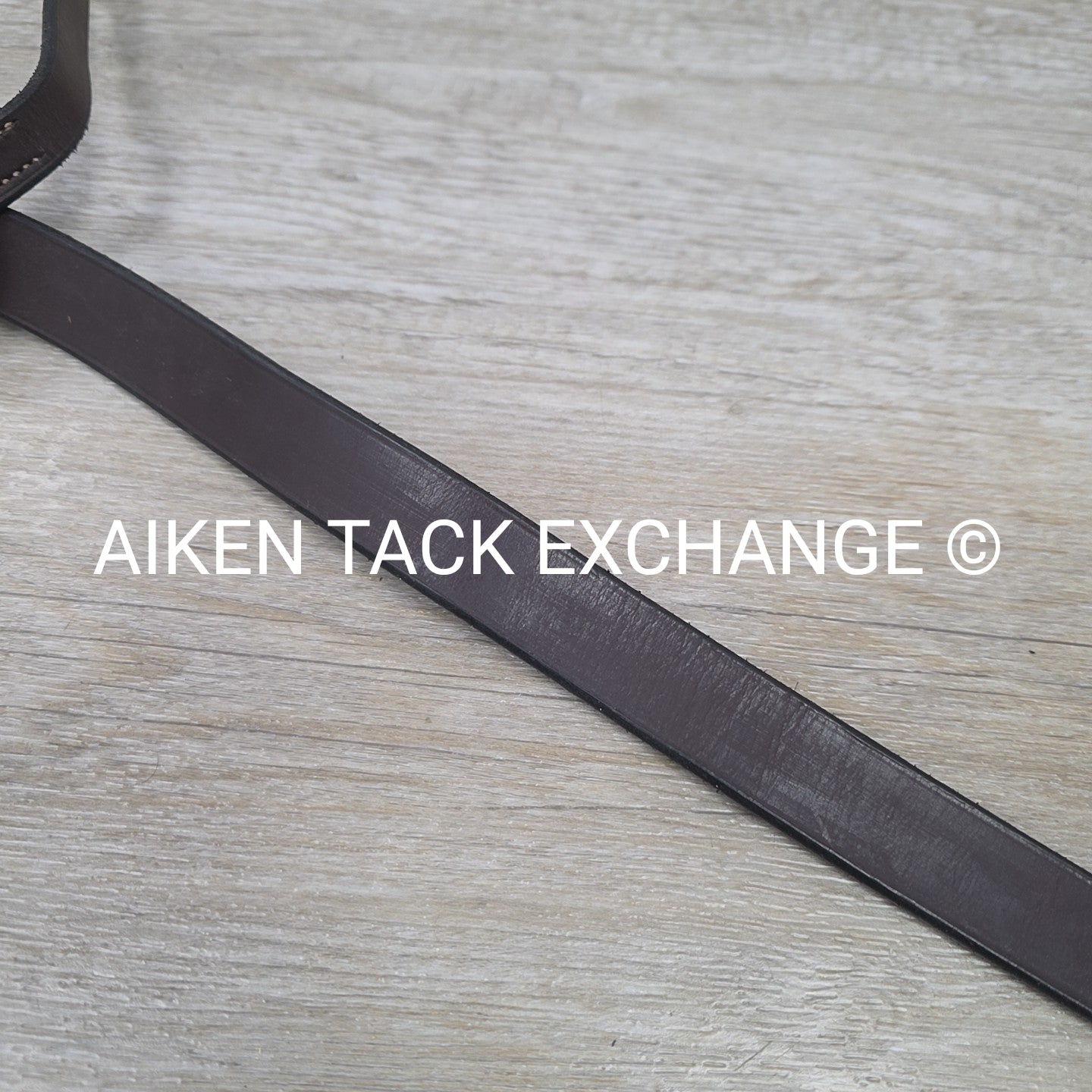 Standing Martingale, Made in England, Brown, Size Full