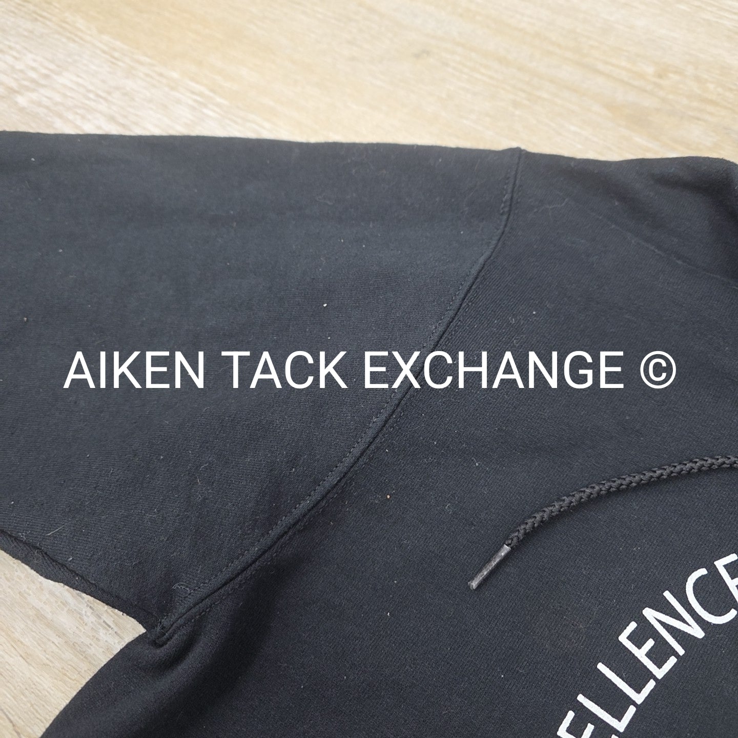 Champion horseflight.com Hoddie, Size Medium