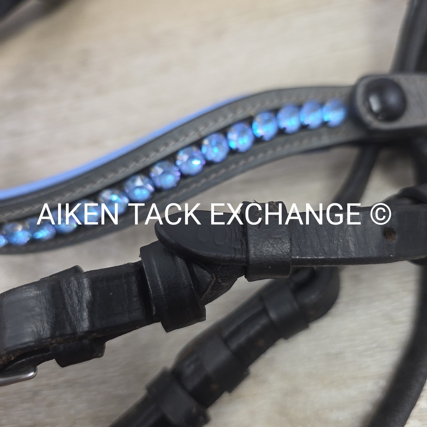 Halter Ego Rolled Dressage Bridle, No Reins, Size Cob
