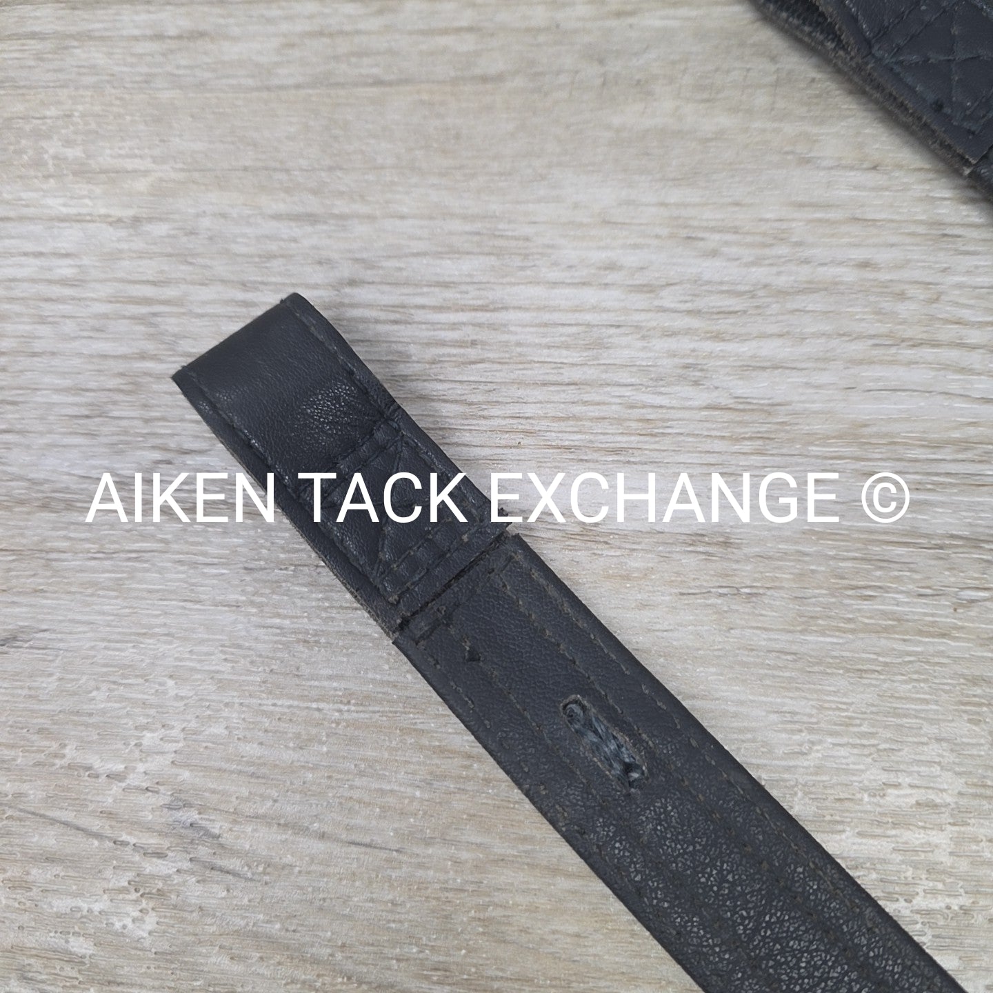 Wintec Webbers, Black