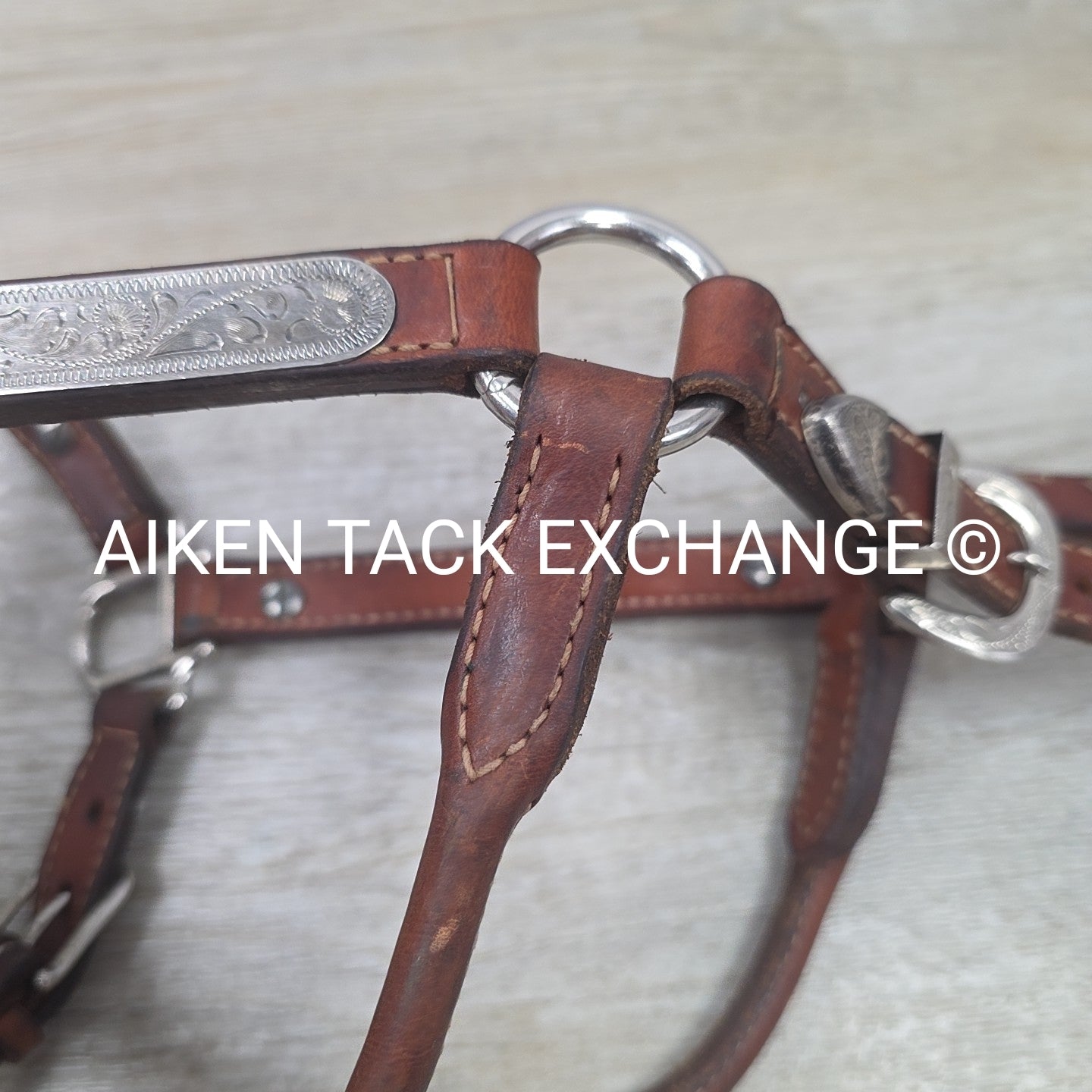 Western Show Halter, Size Foal