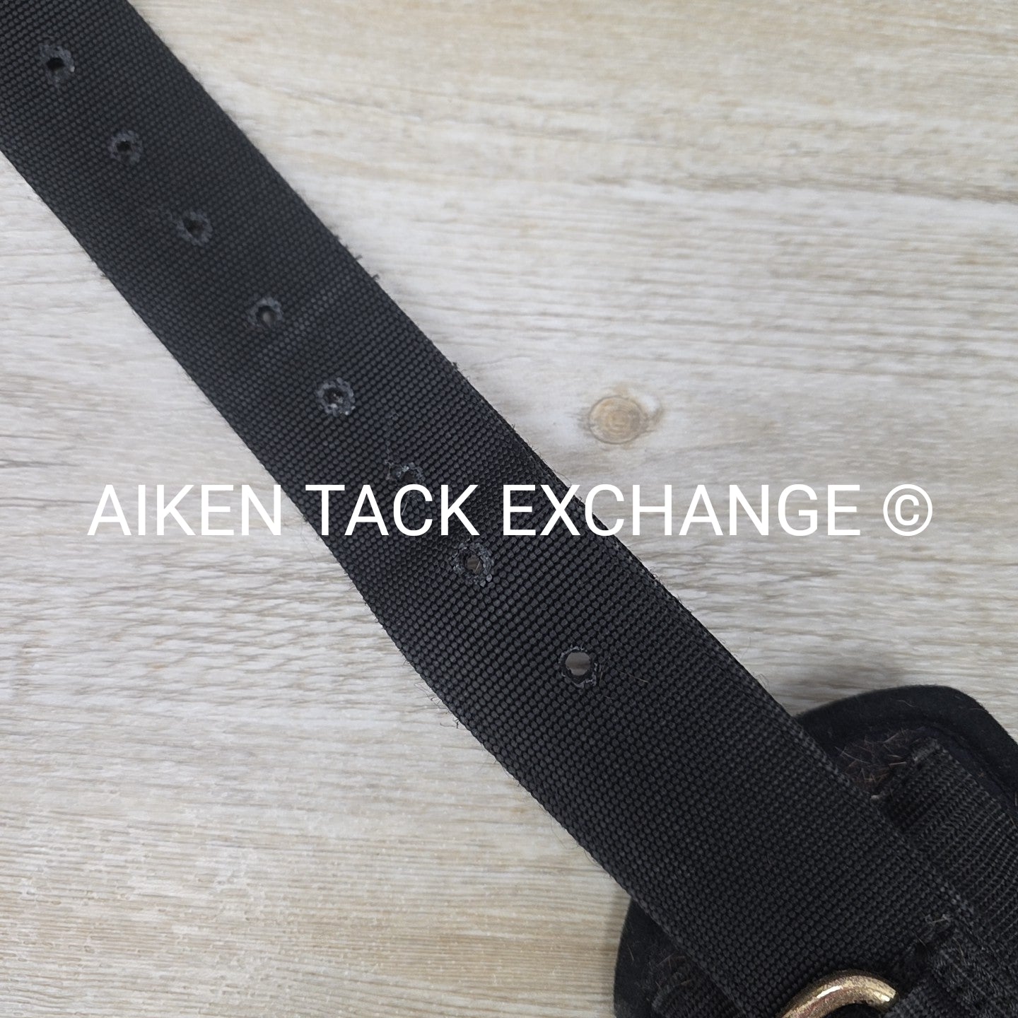 Dura-Tech Neoprene & Nylon Training Surcingle, Missing Girth