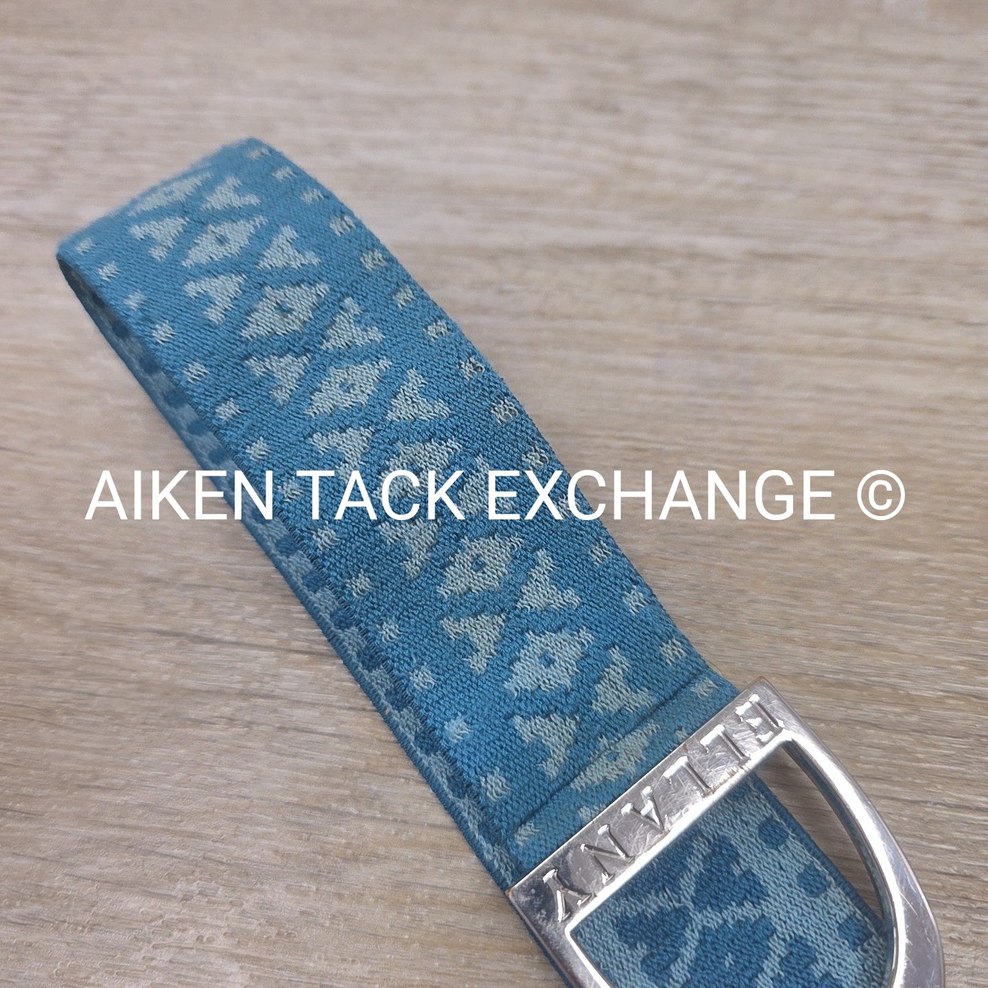 Ellany Silver Stirrup Elastic Belt