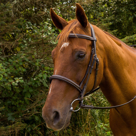 Henri de Rivel Pro Mono Crown Fancy Stitched Padded Bridle: Havana / Horse