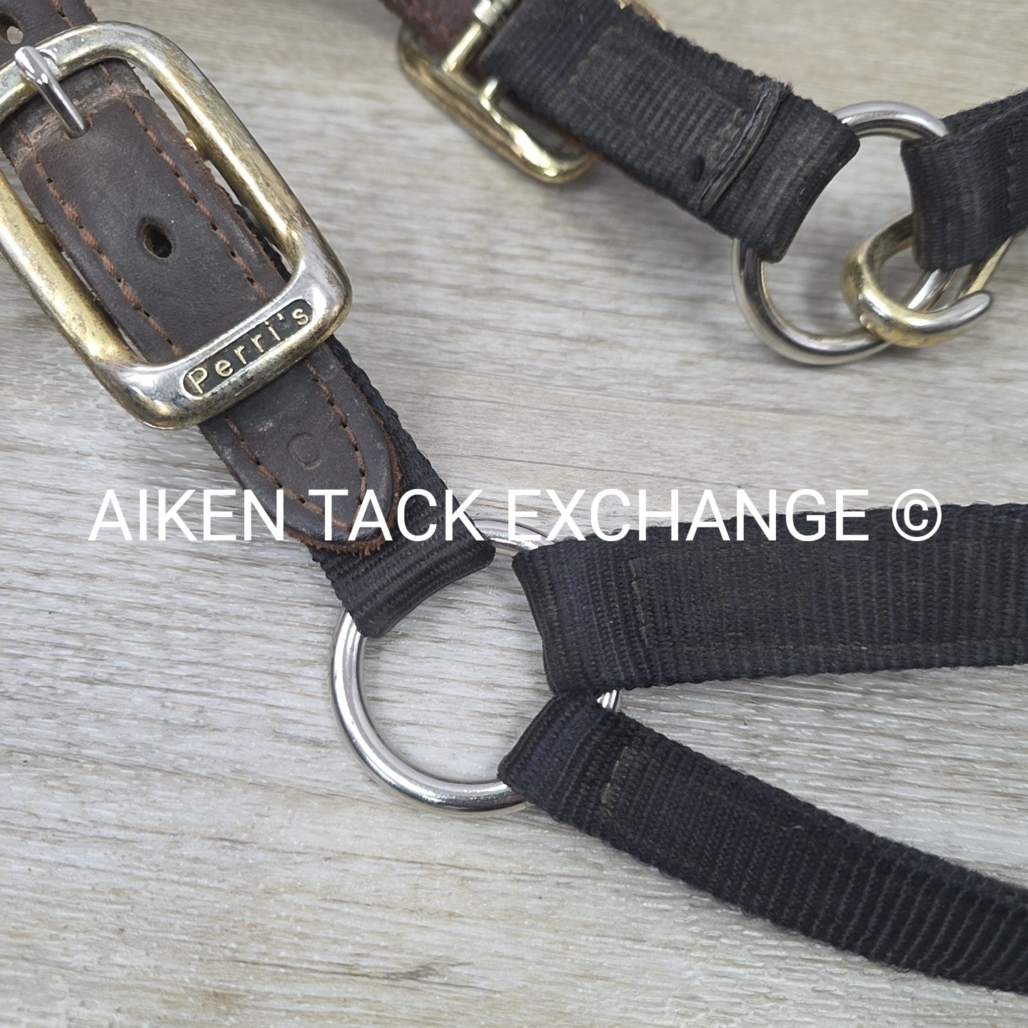 Perri's Nylon Breakaway Halter, Oversize