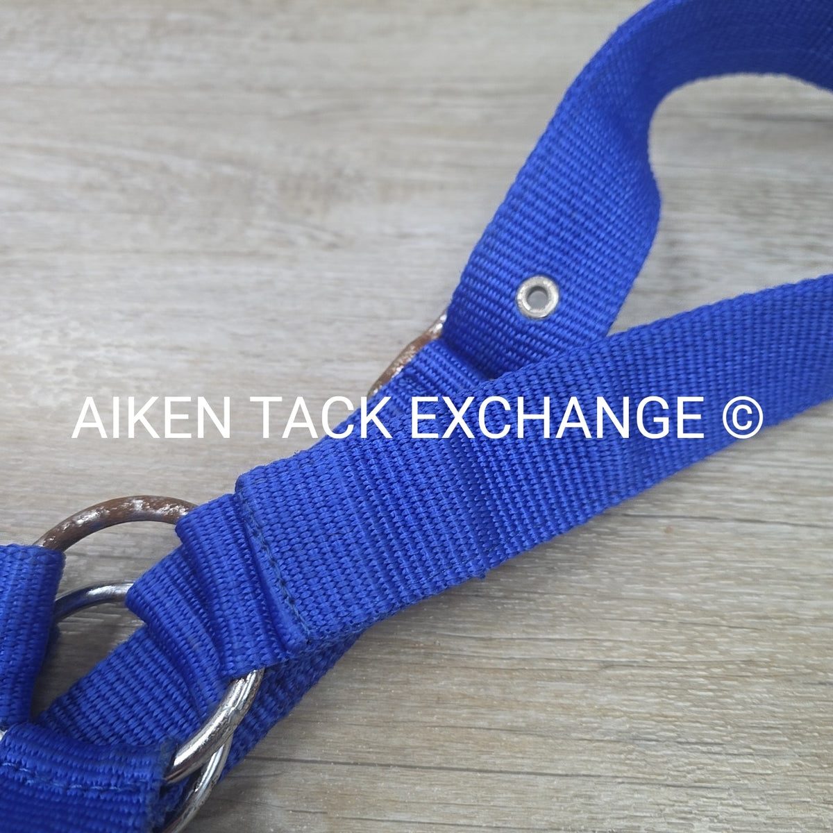 Nylon Halter, Draft