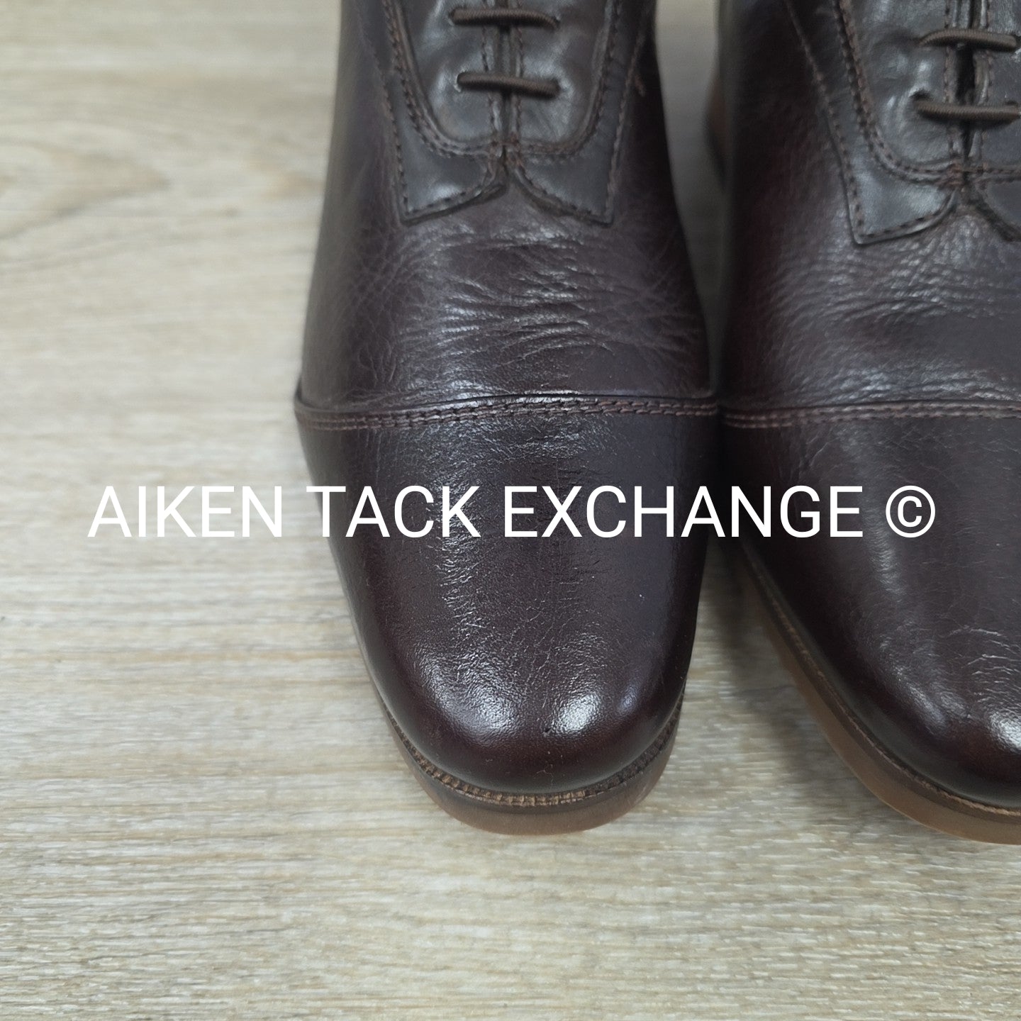 Mountain Horse Sovereign Field Boot, Size 6 Regular Short