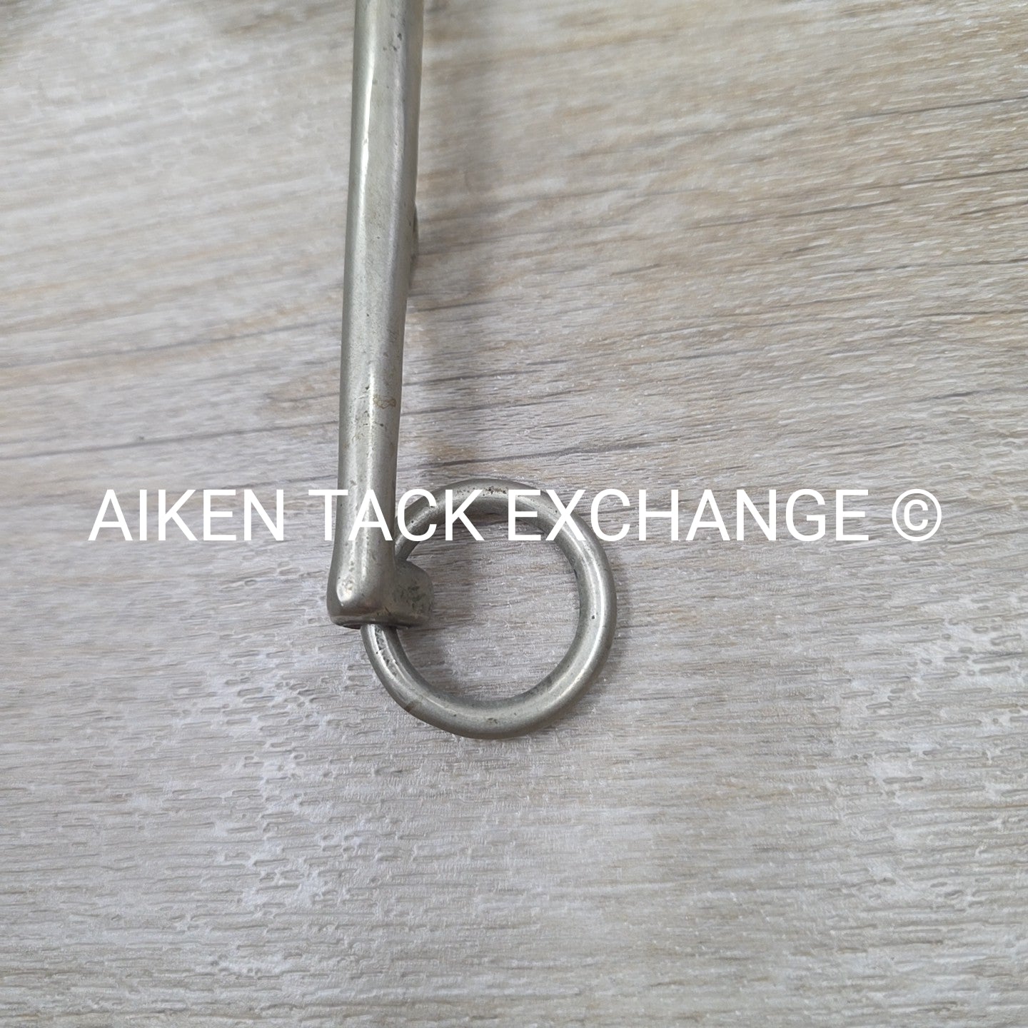 Never Rust Long Shank Bit 5" (No Hooks & Curb Chain)