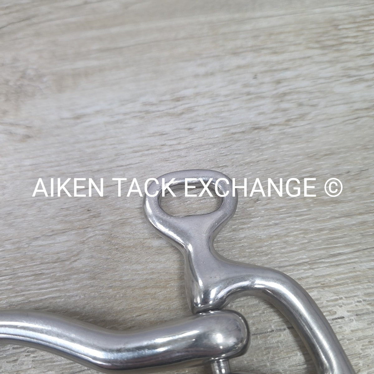 Mullen Mouth Shanked Walking Horse Bit 5"