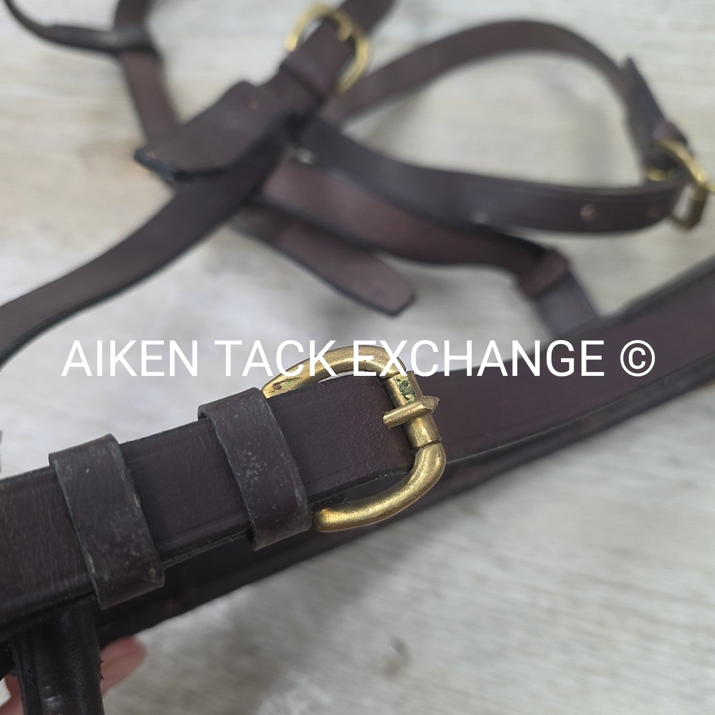 Leather Lunging Cavesson, Brown, Size Full