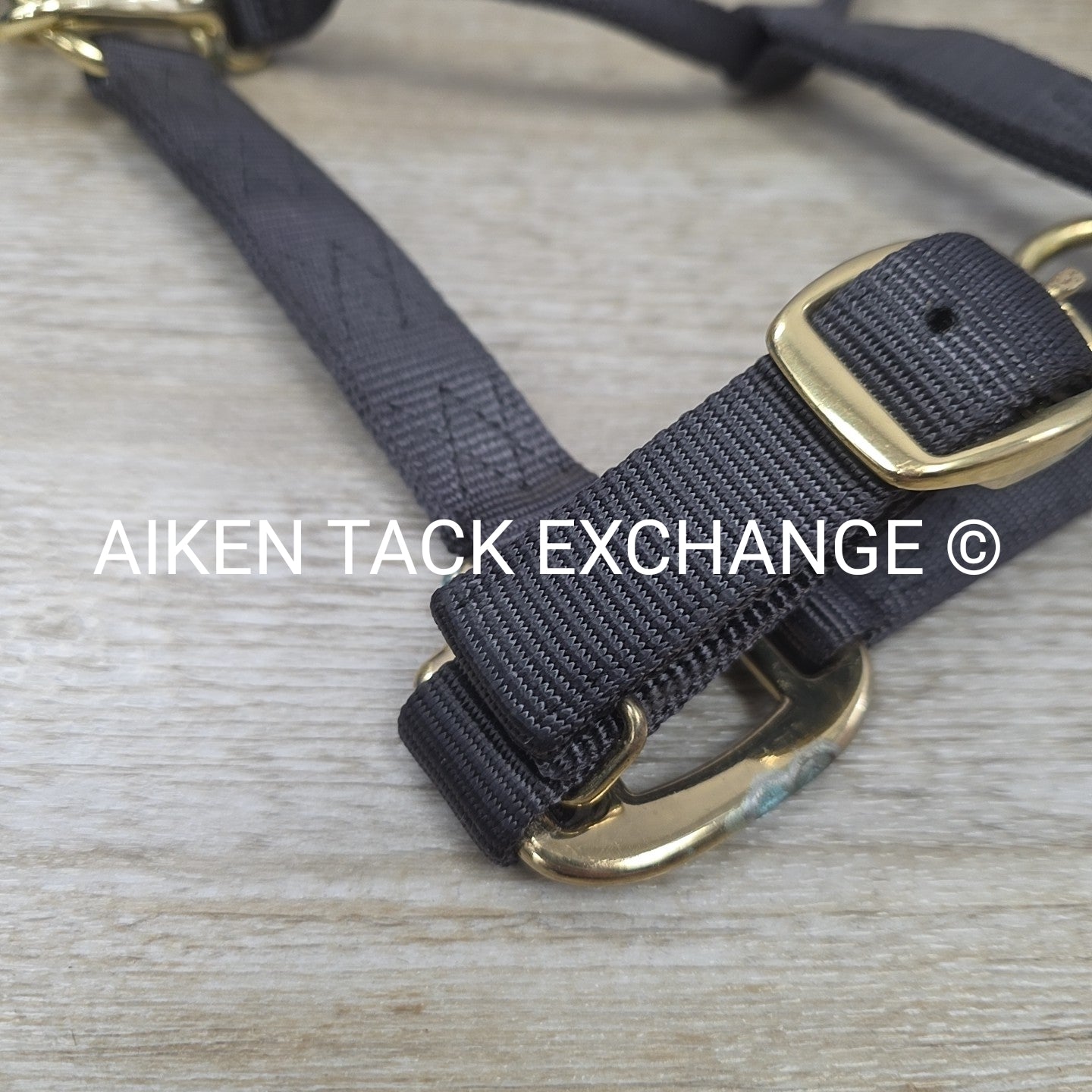 Nylon Halter, Size Medium