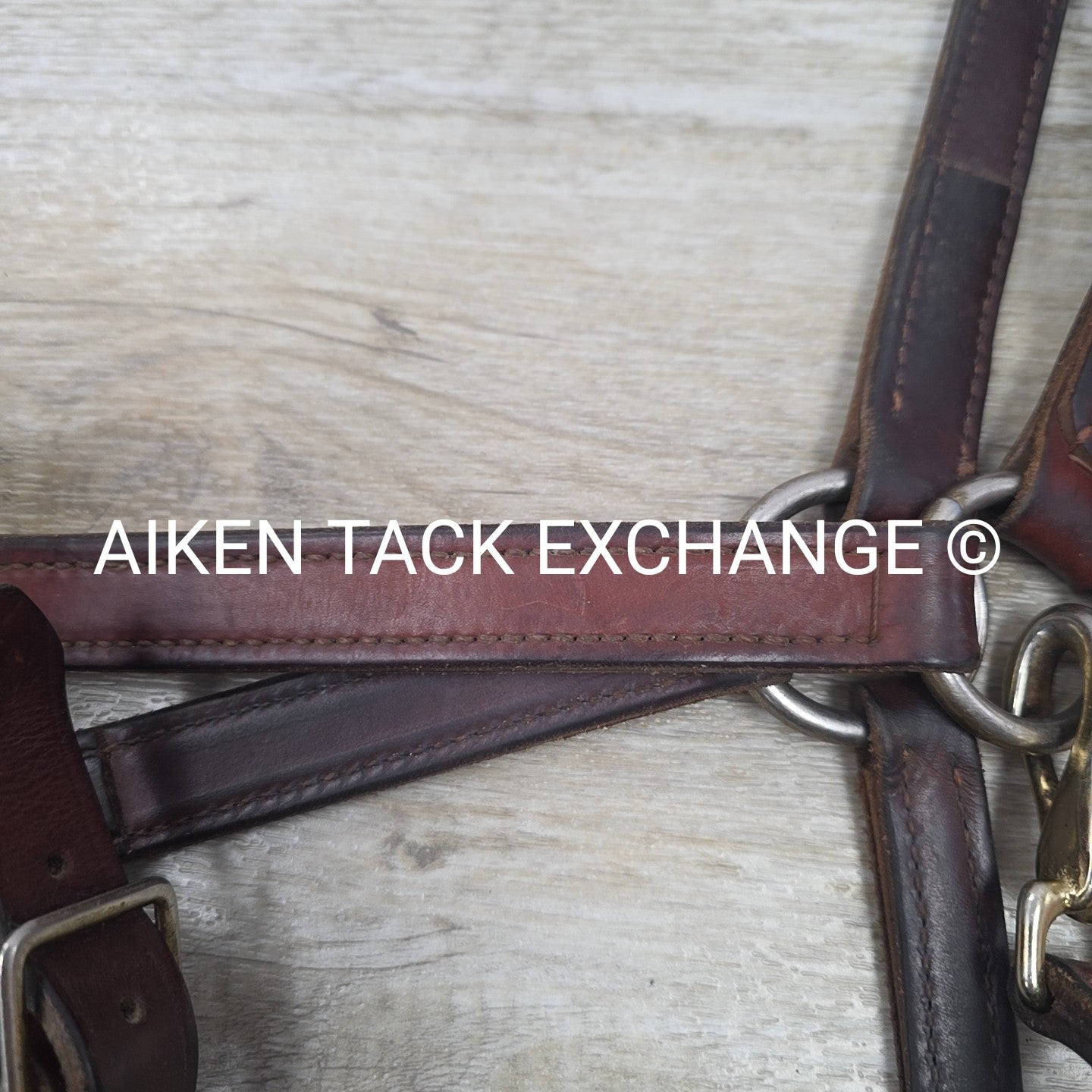 Perri's Leather Halter, Brown, Size Full