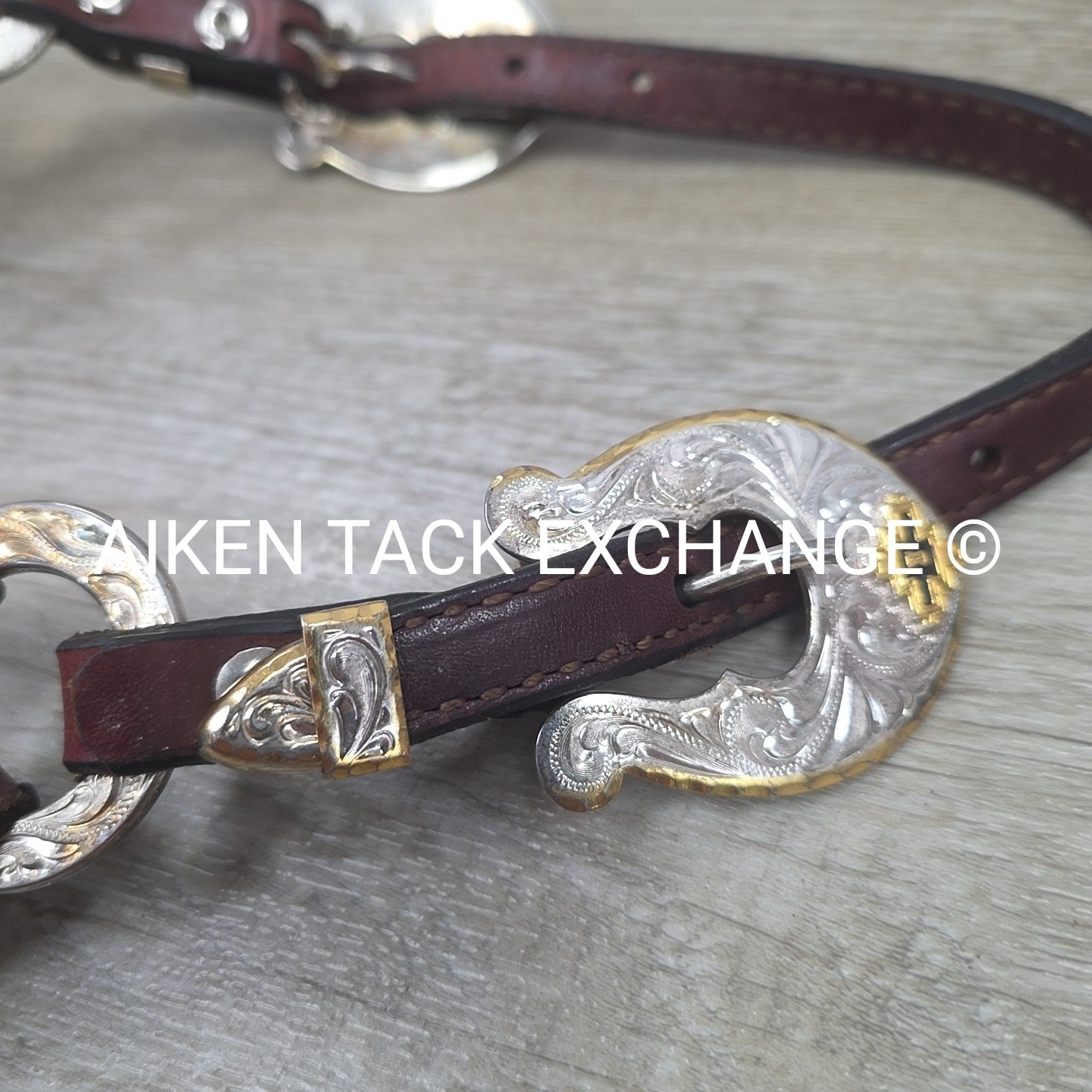 Western Show Halter, Size Foal