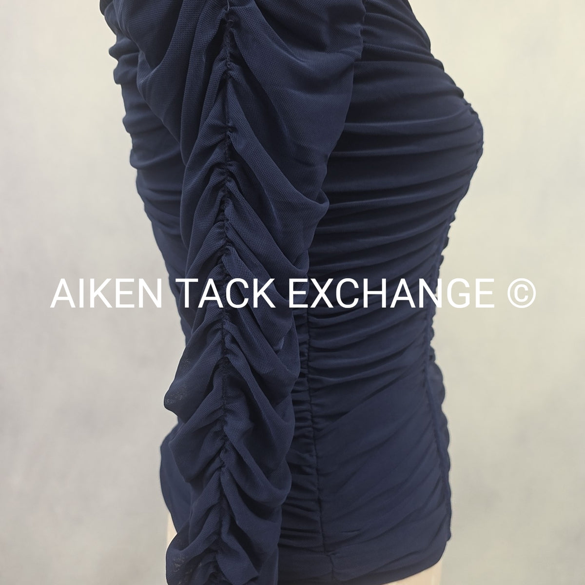 Venus Long Sleeve Mesh Top, Size X-Small