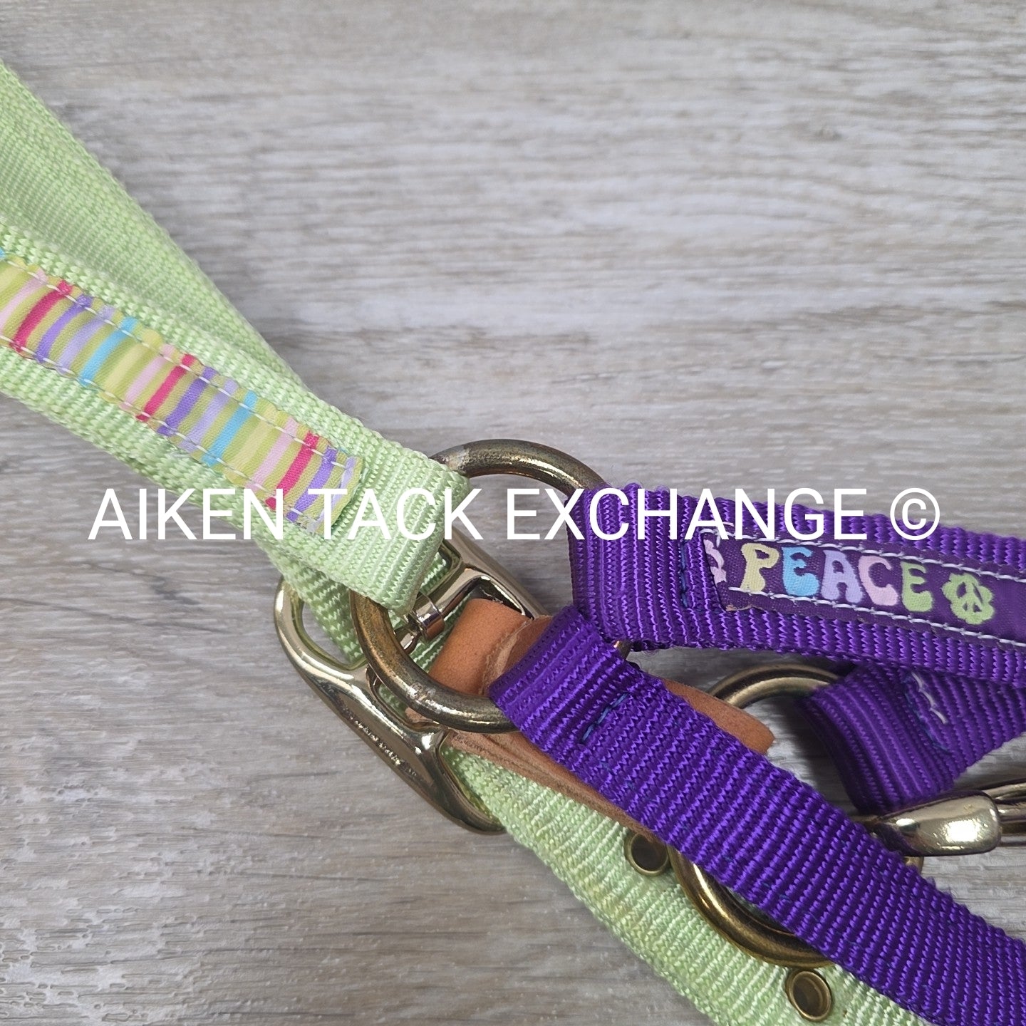 Perri's Nylon Breakaway Halter w/ Cotton Lead Rope, Size Cob