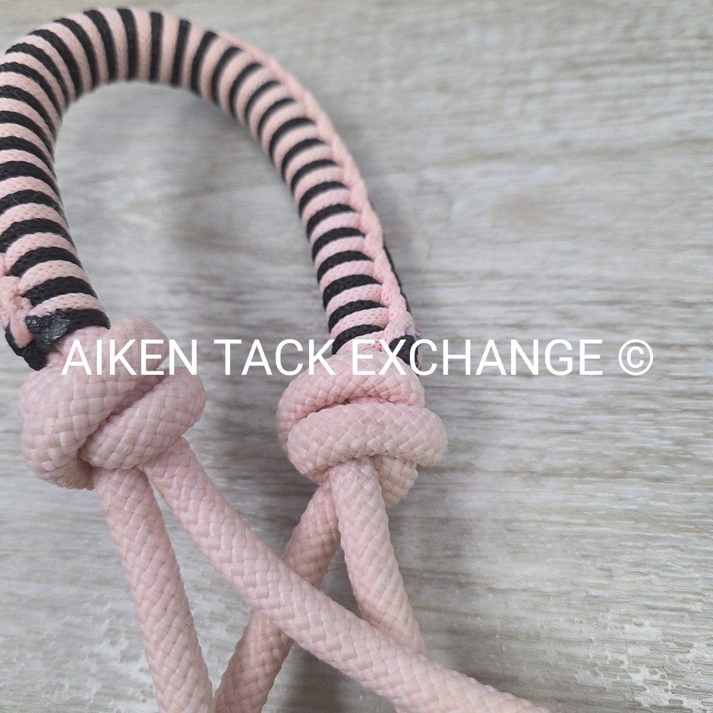 Rope Halter with Lead Rope