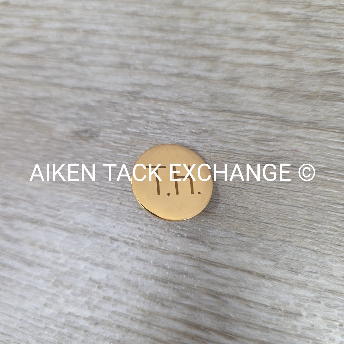 Tryon Hounds Brass Button, Large