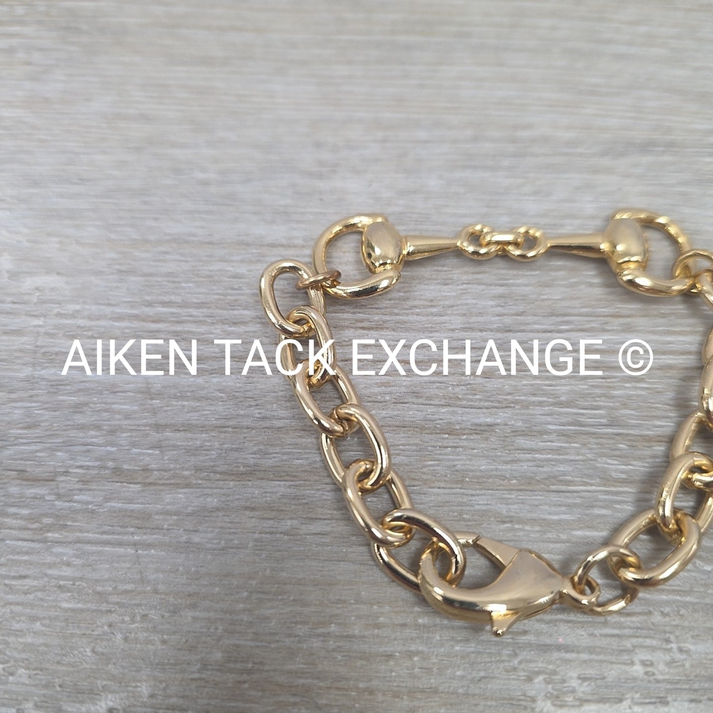 Snaffle Bit Chain Bracelet