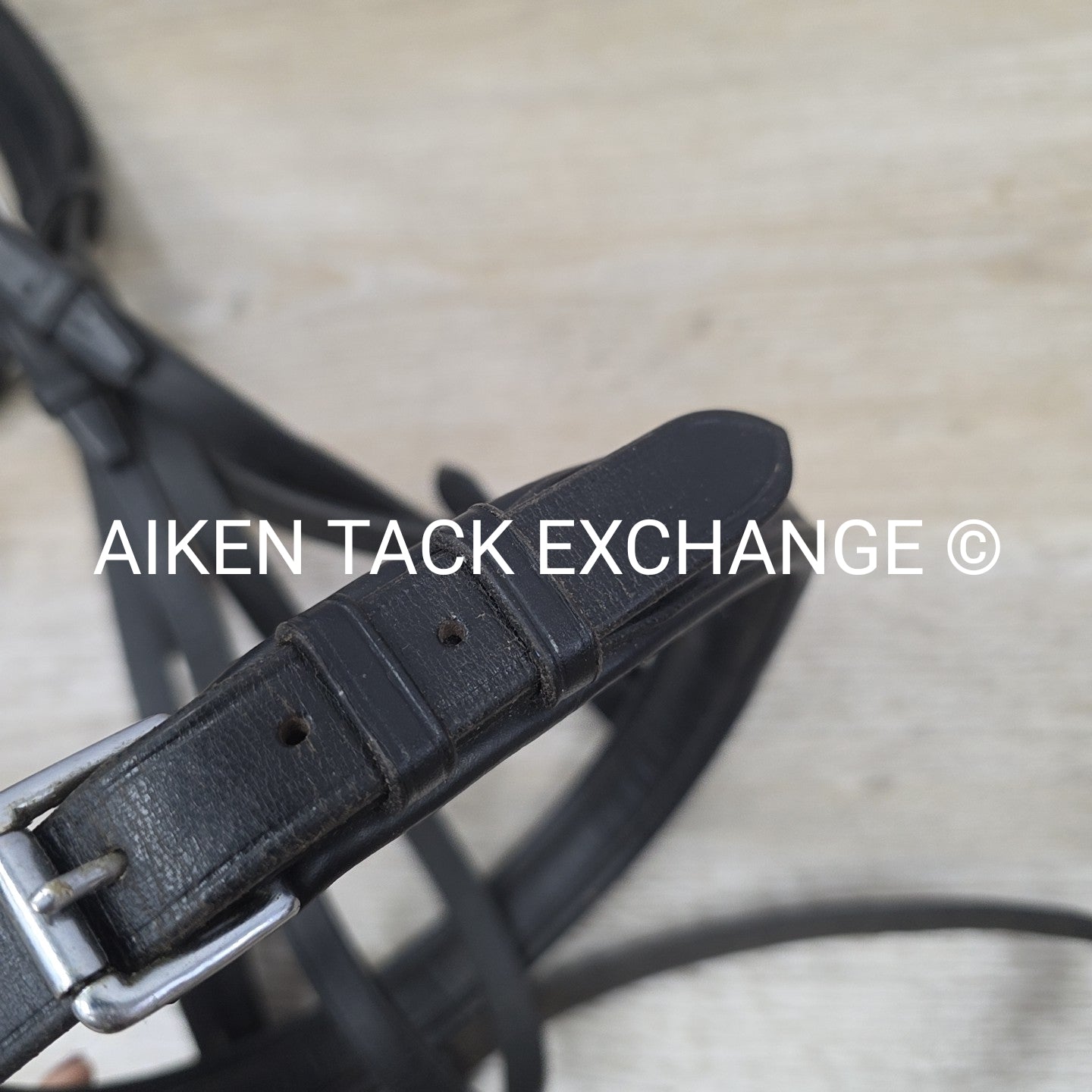 Passier & Sohn Flash Bridle with Cotton Web Reins, Black, Size Full