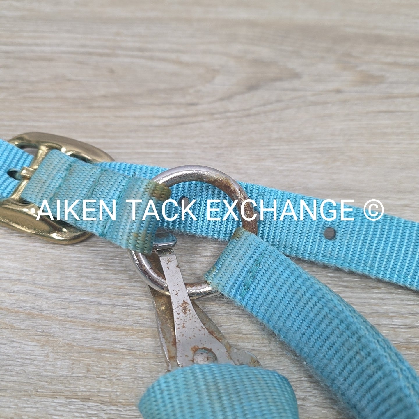 BARGAIN BUNDLE: 3 Nylon Halters, Various Sizes