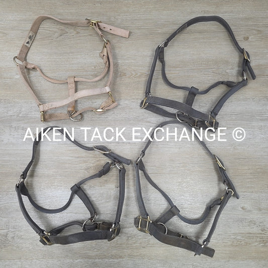 BARGAIN BUNDLE 4 Weaver Leather Nylon Halters, Size Large Horse
