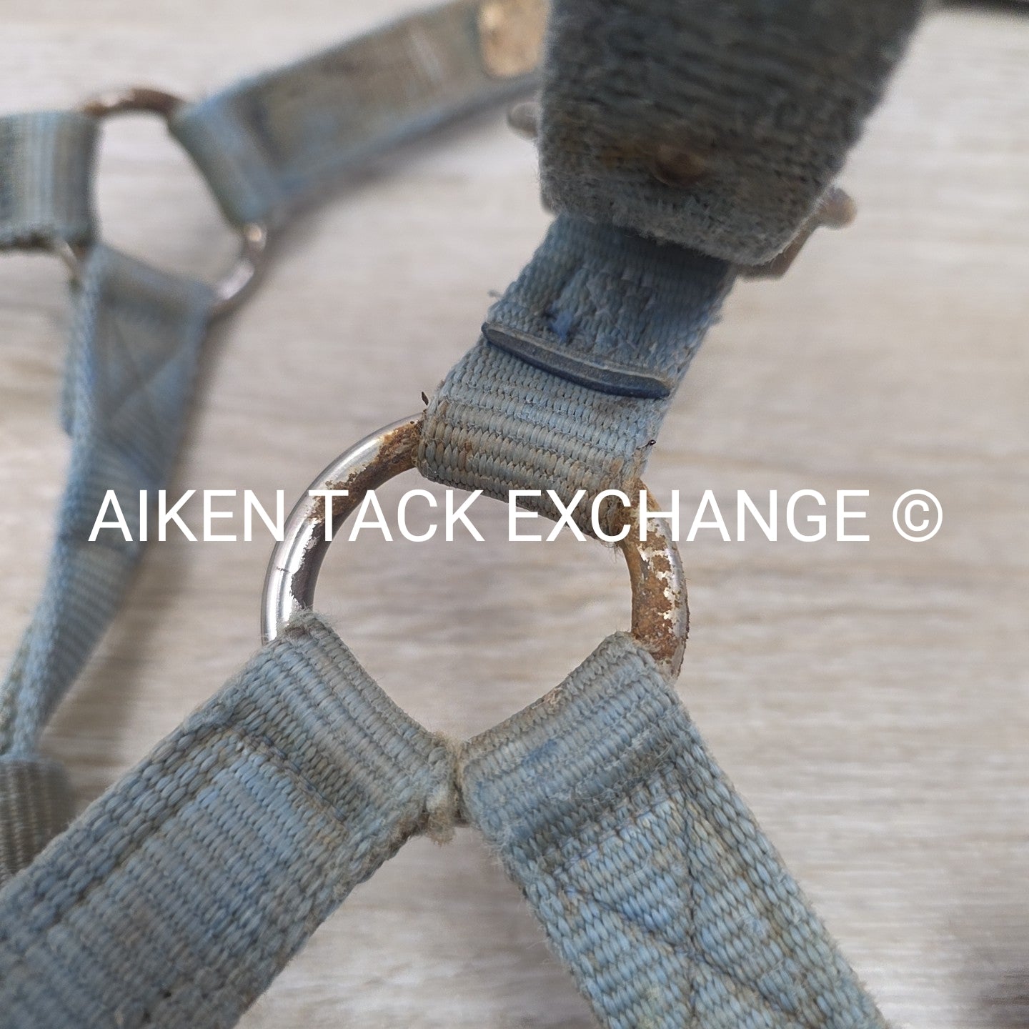 BARGAIN BUNDLE 5 Weaver Leather Nylon Halters, Size Horse