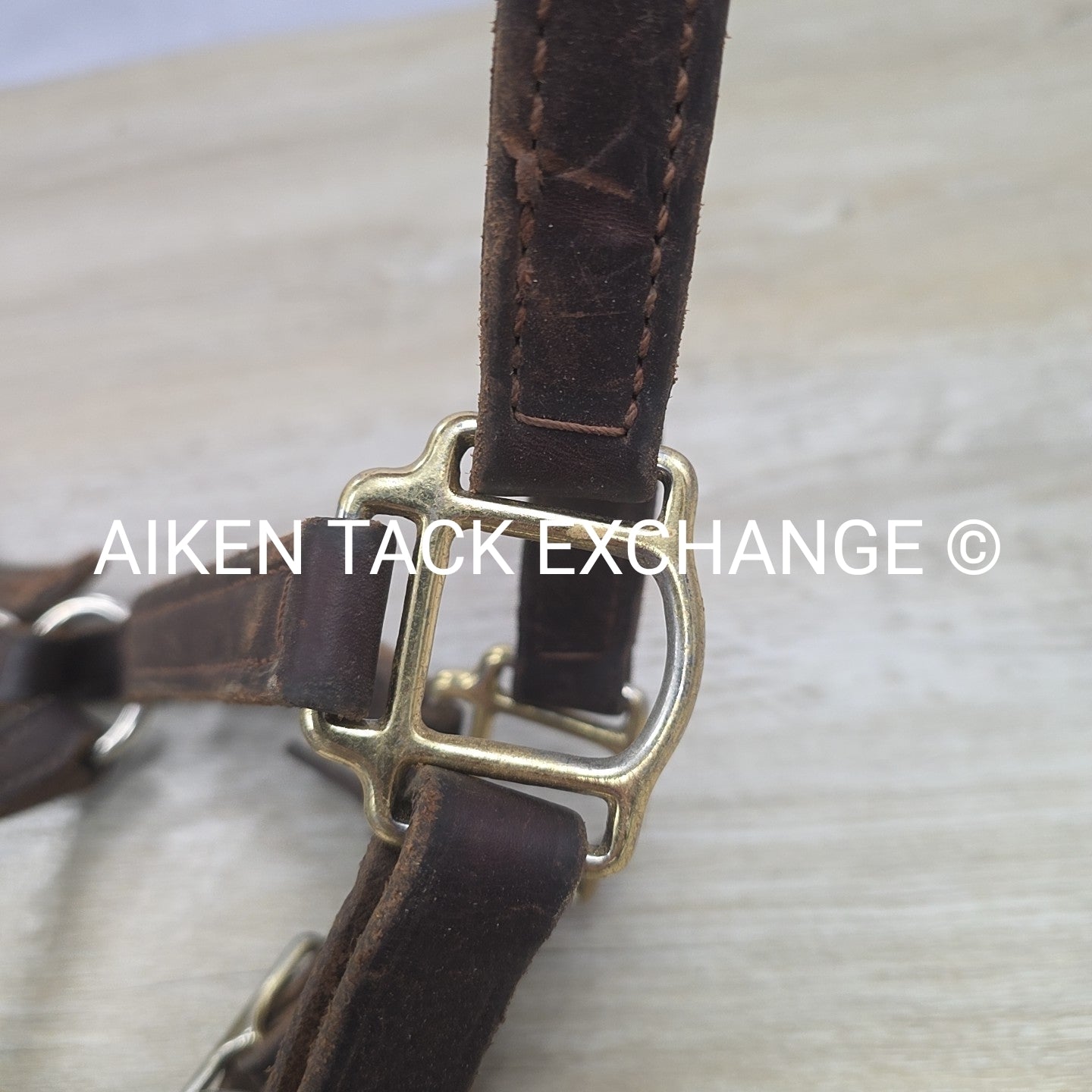 BARGAIN BUNDLE: Leather Halter & Nylon Halter, Size Full